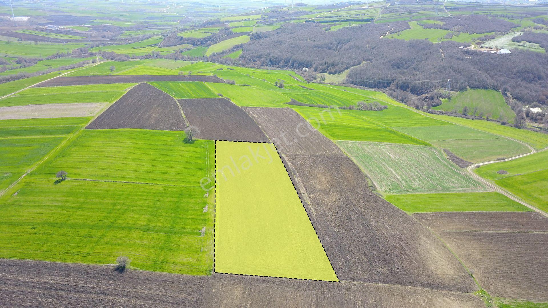 Ege Gayrimenkul Silivri Buyuksineklide 12600 M2 Tarla - Görsel 6