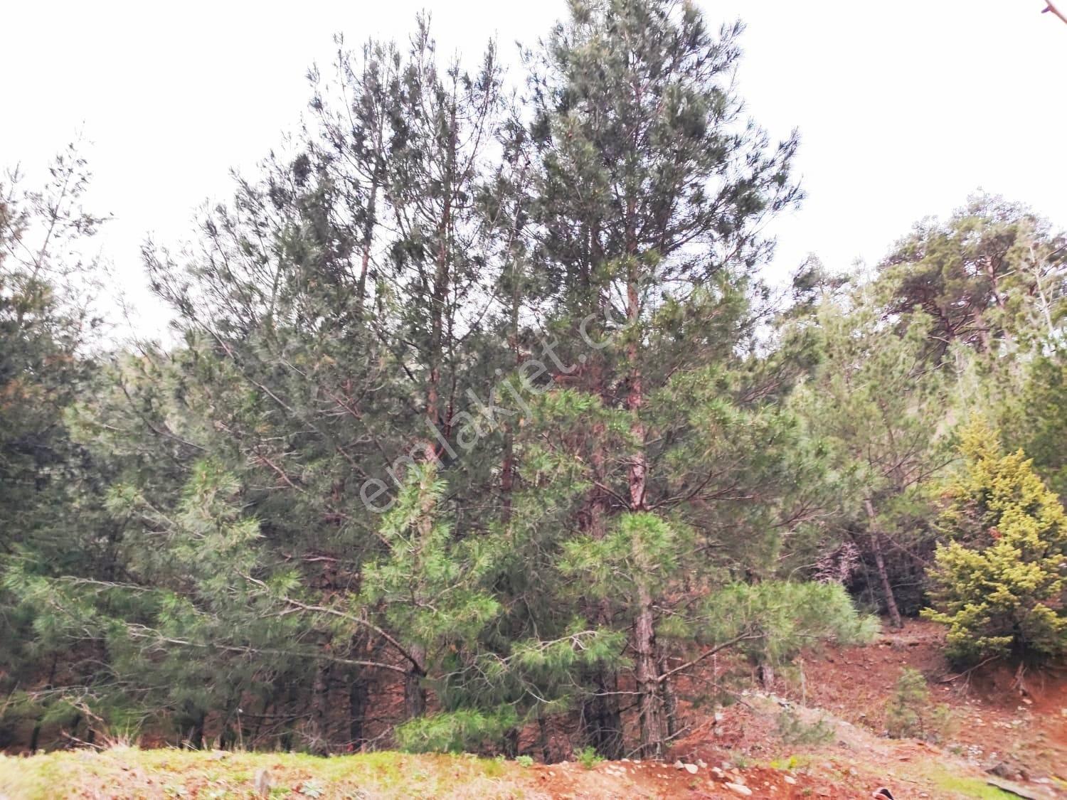 Kar Emlaktan İstiklal Mah. 5 Kata İmarlı 390m2 Satılık Arsa - Görsel 13