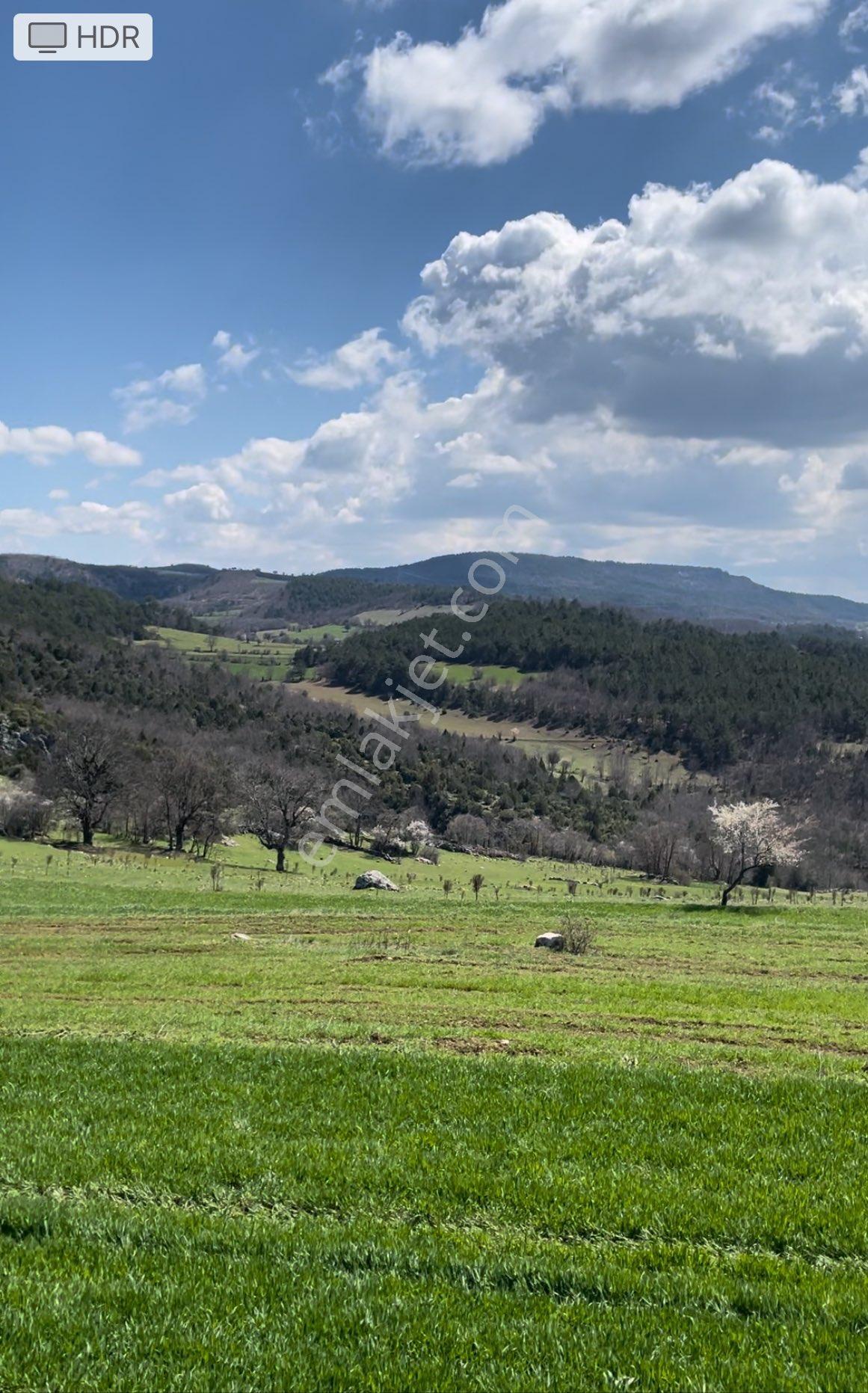Huzur Temiz Hava Yola Cephe Mükemmel Konumda 5545m2 - Görsel 2