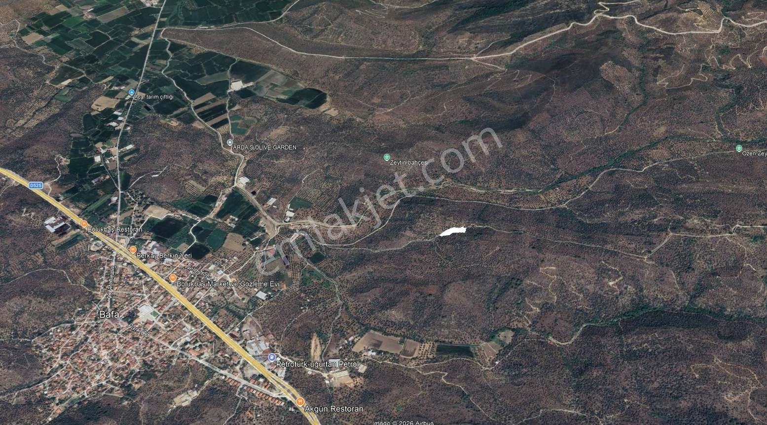 Muğla Milas Bafada Satılık Zeytinlik | Yatırım Fırsatı - Görsel 3