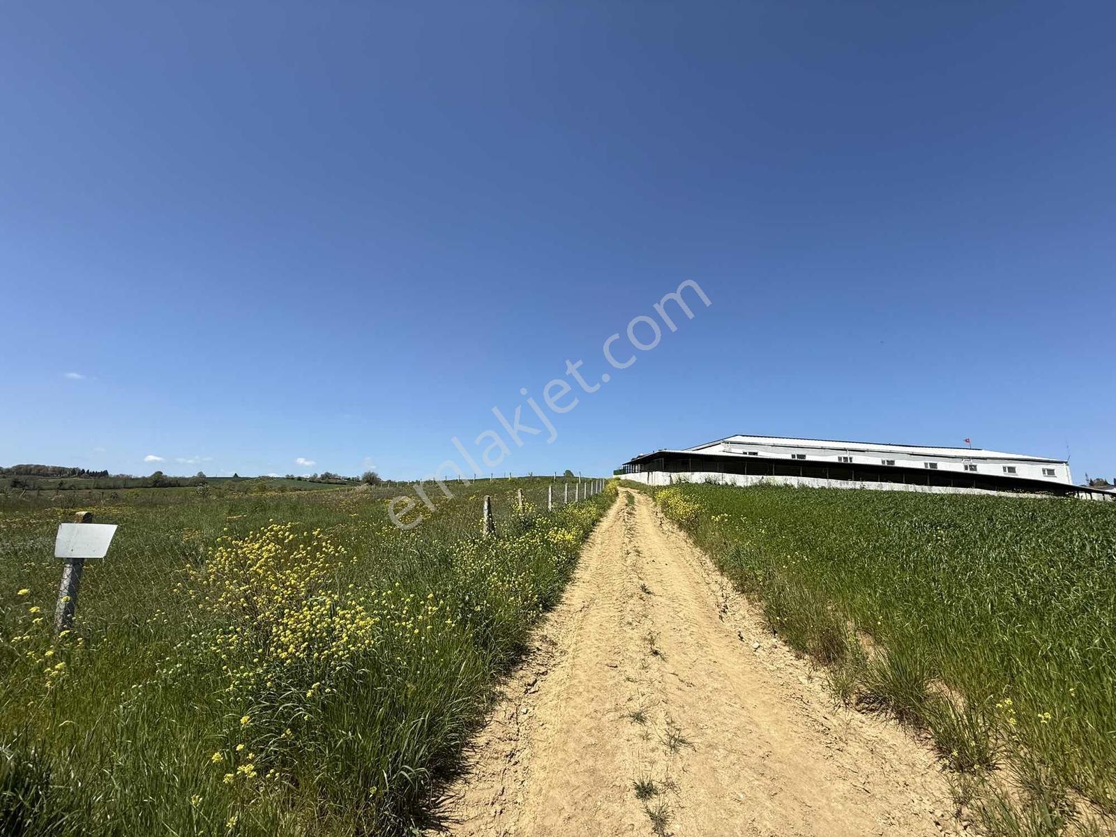 Kocaeli İzmit Bağlıca Tatlı Bayır Mevkinde 2350 M² Satılık Tarla - Görsel 2