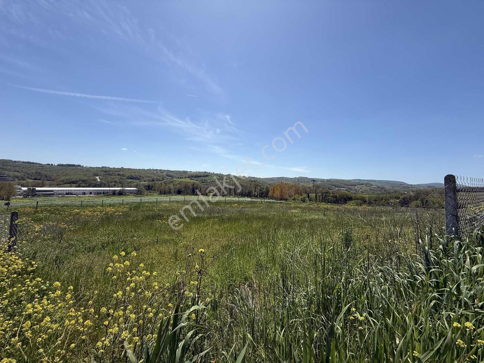 Kocaeli İzmit Bağlıca Tatlı Bayır Mevkinde 2350 M² Satılık Tarla - Görsel 6
