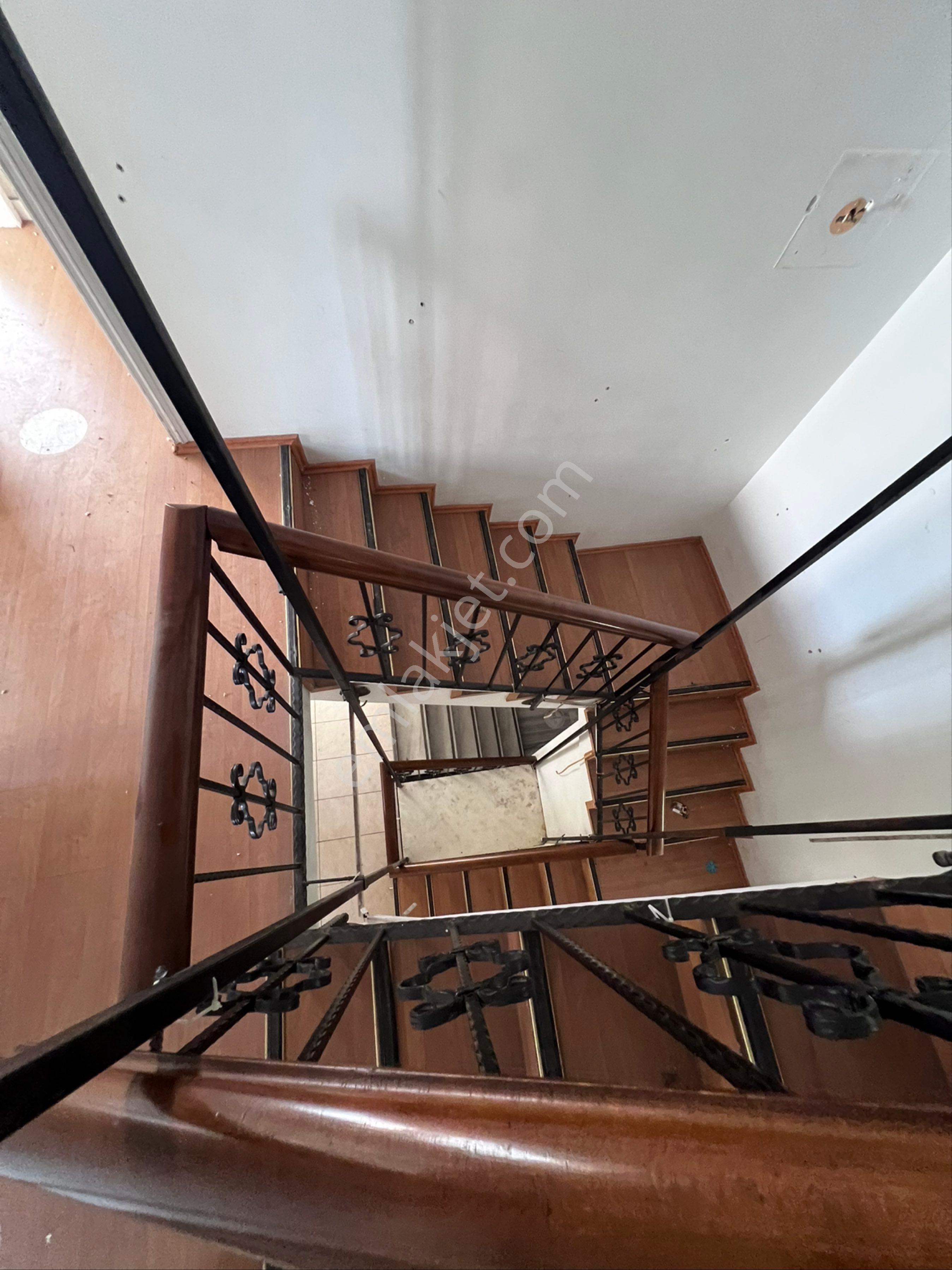 Kiralık Ticari Villa - Görsel 14