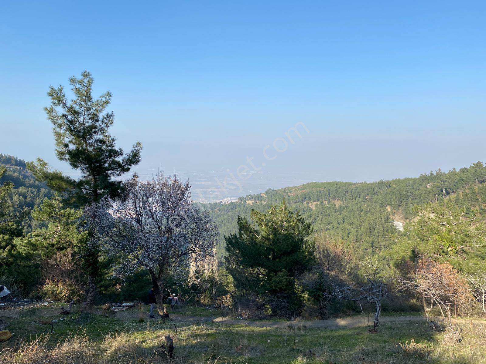 Spil Dağında Mükemmel Manzaralı Yola Sıfır Arazi - Görsel 14