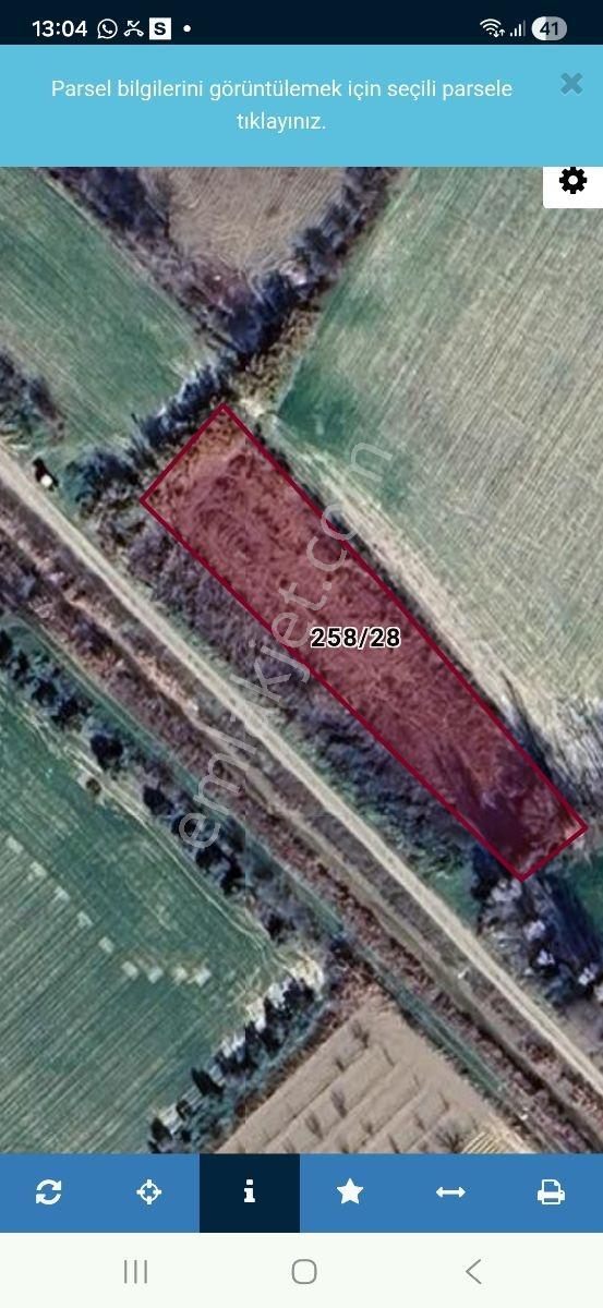 Nehirden Duacılıda Satılık Tarla - Görsel 2