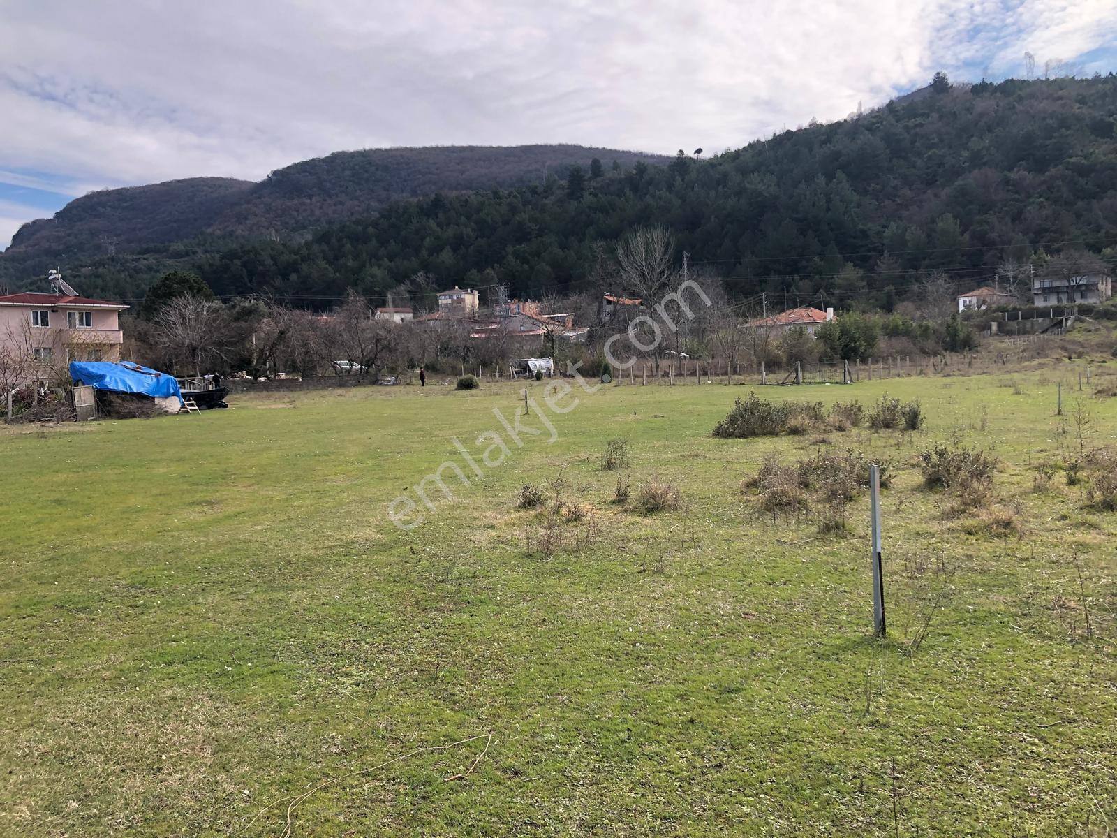 Kastamonu Cide Kumluca Mahallesinde 870.29m2 Satılık Kupon Arsa - Görsel 34