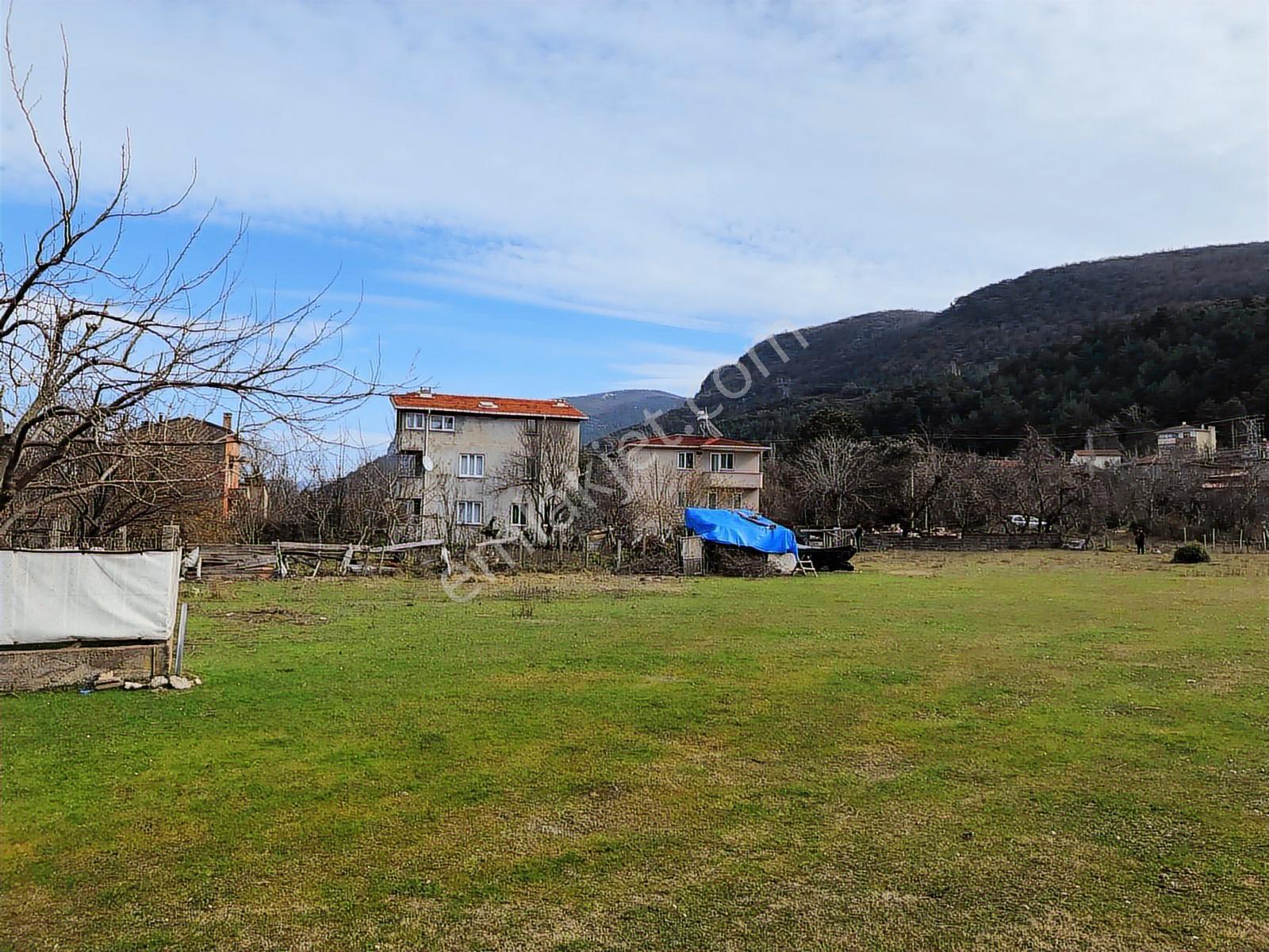 Kastamonu Cide Kumluca Mahallesinde 870.29m2 Satılık Kupon Arsa - Görsel 19