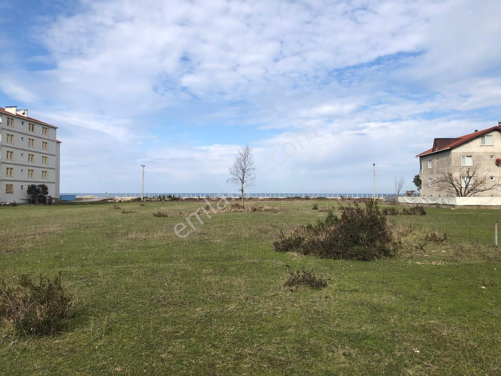 Kastamonu Cide Kumluca Mahallesinde 870.29m2 Satılık Kupon Arsa - Görsel 23