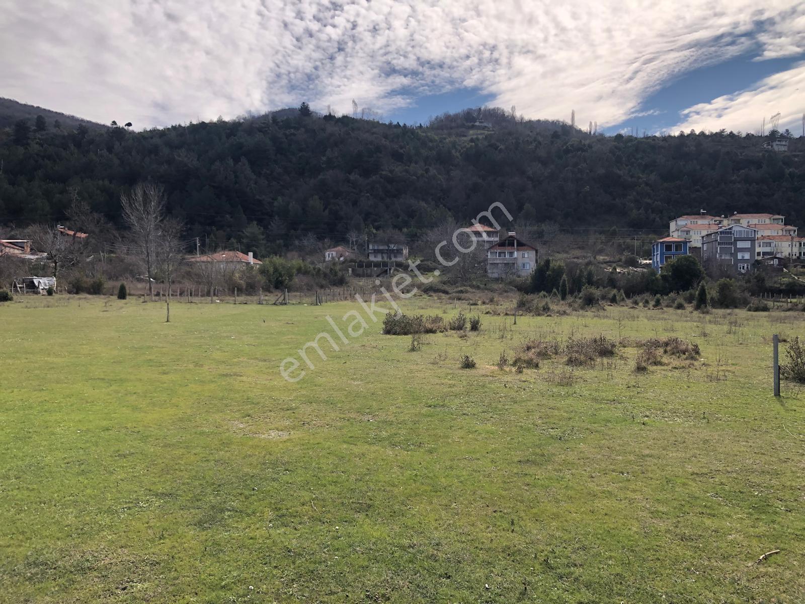 Kastamonu Cide Kumluca Mahallesinde 870.29m2 Satılık Kupon Arsa - Görsel 30