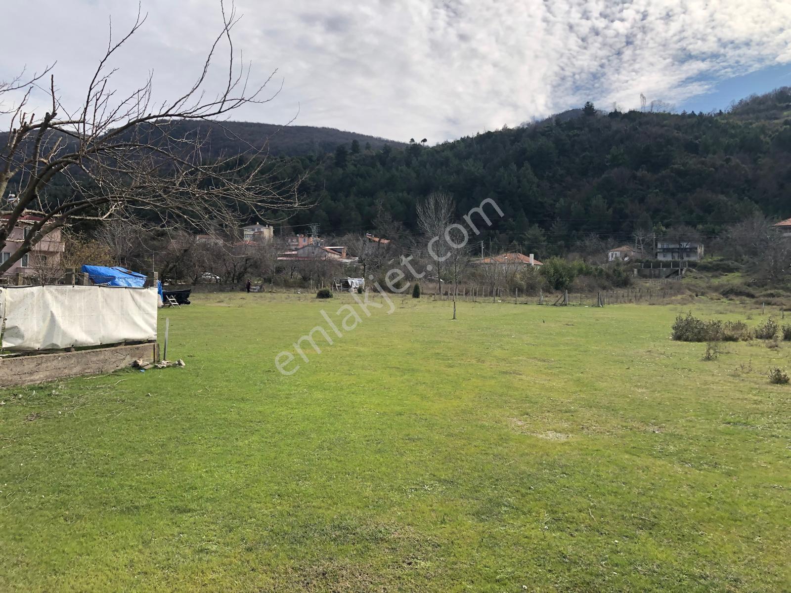 Kastamonu Cide Kumluca Mahallesinde 870.29m2 Satılık Kupon Arsa - Görsel 21