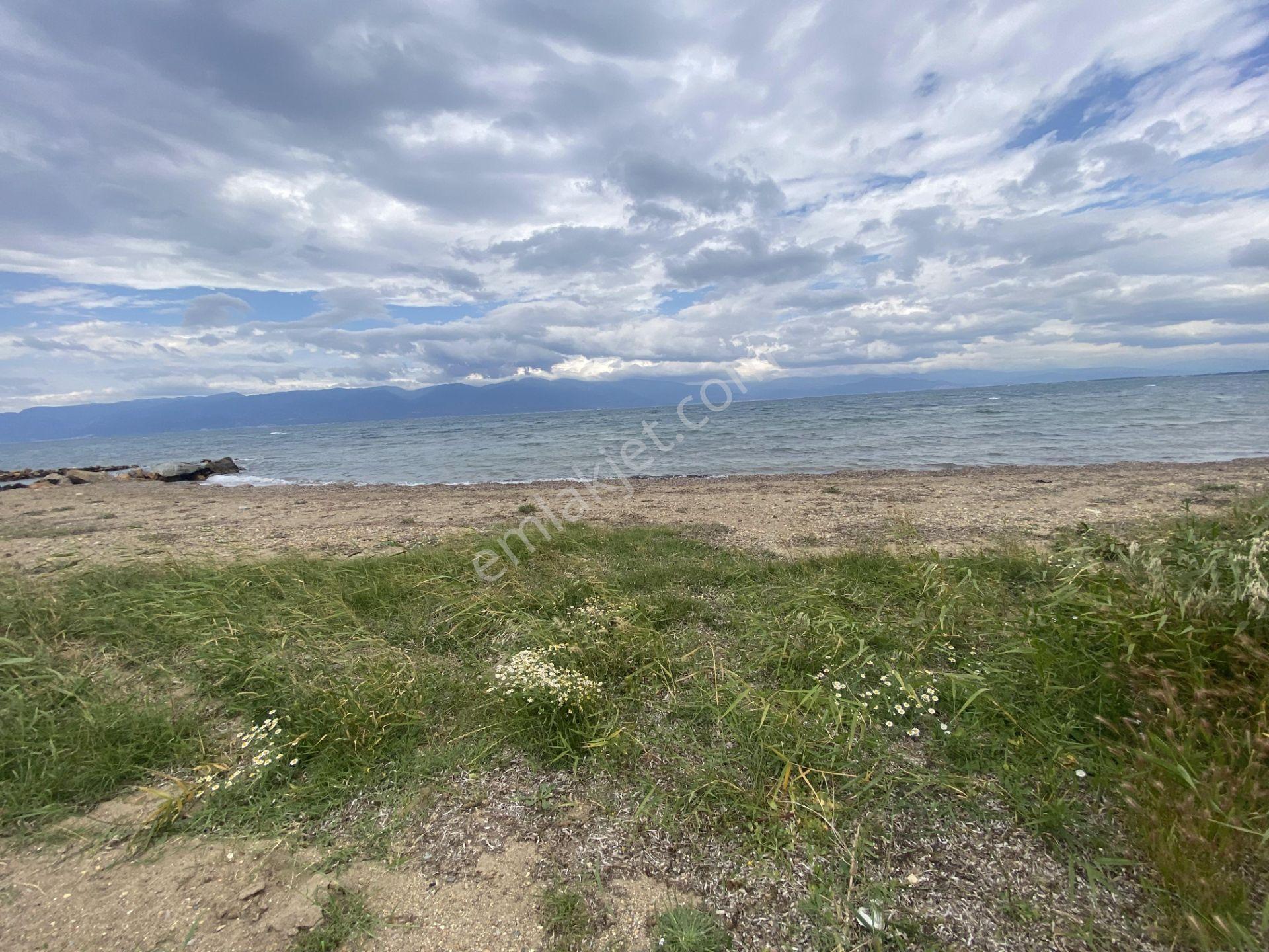 Burhaniye De Satılık 2,281 Metre Kare Villa İmarlı Arsa. - Görsel 3