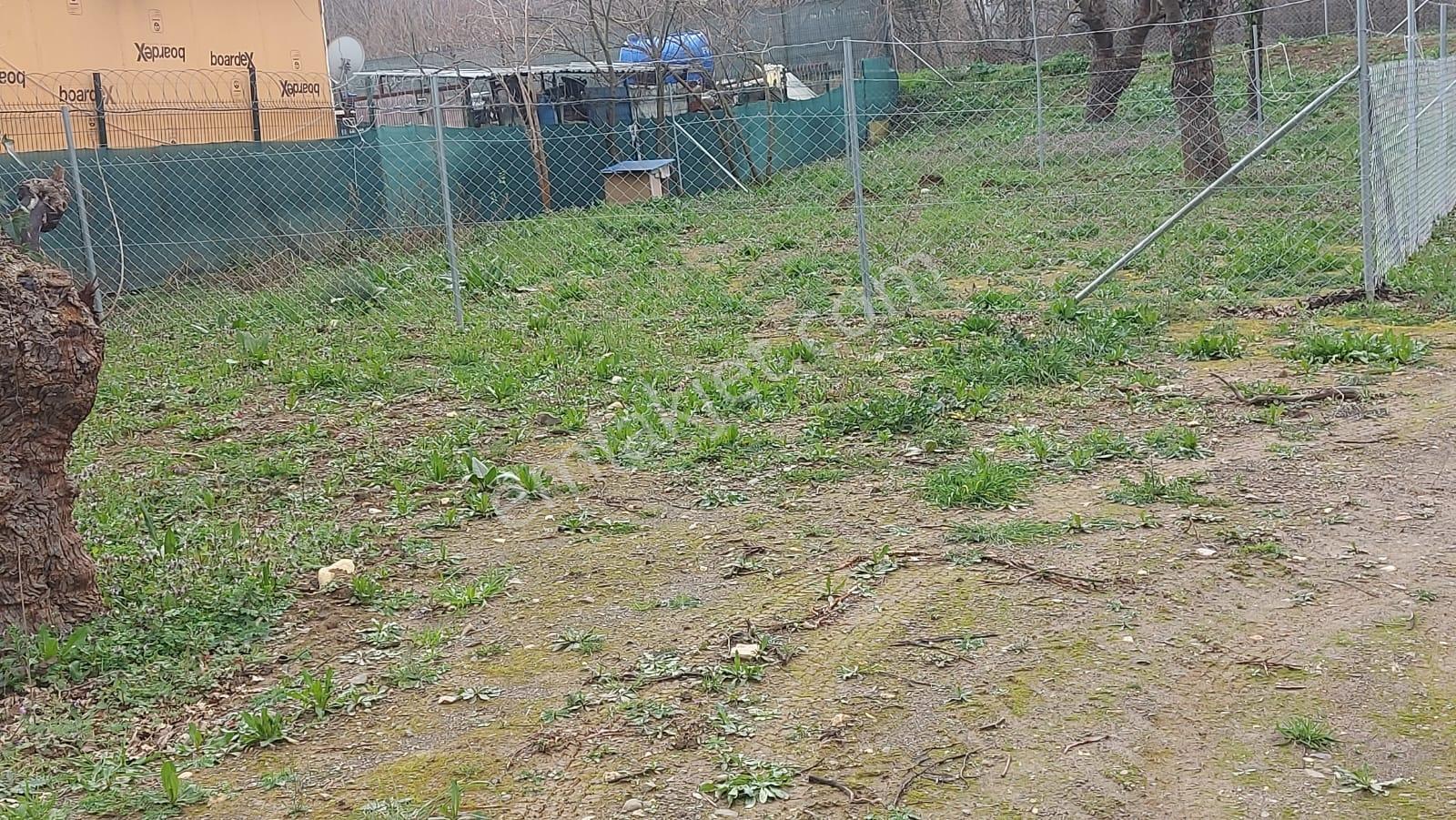 Bursa Nilüfer Kayapa Da Yola Cepheli 166 M2 Hobi Bahçesi