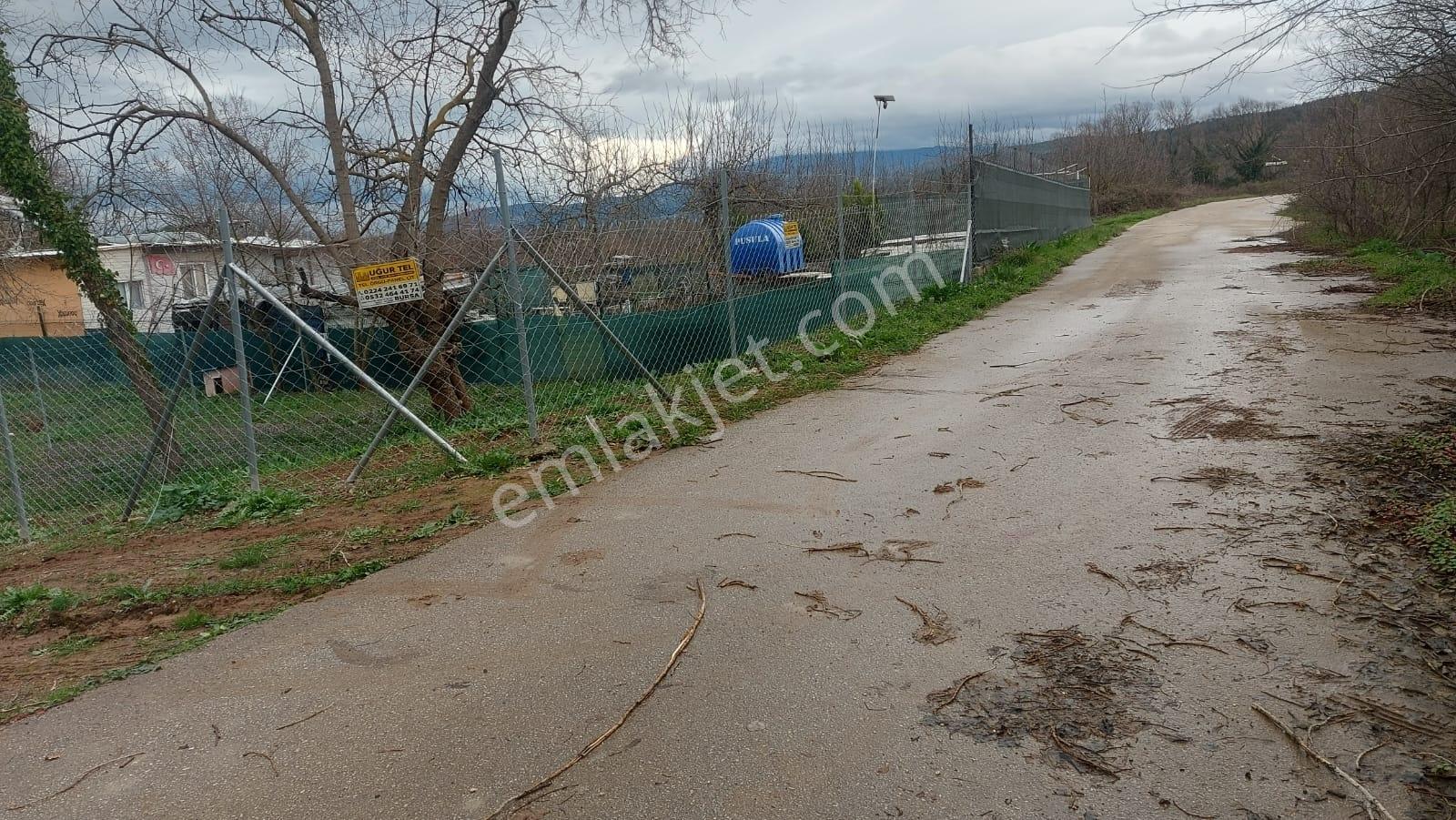 Bursa Nilüfer Kayapa Da Yola Cepheli 166 M2 Hobi Bahçesi - Görsel 27