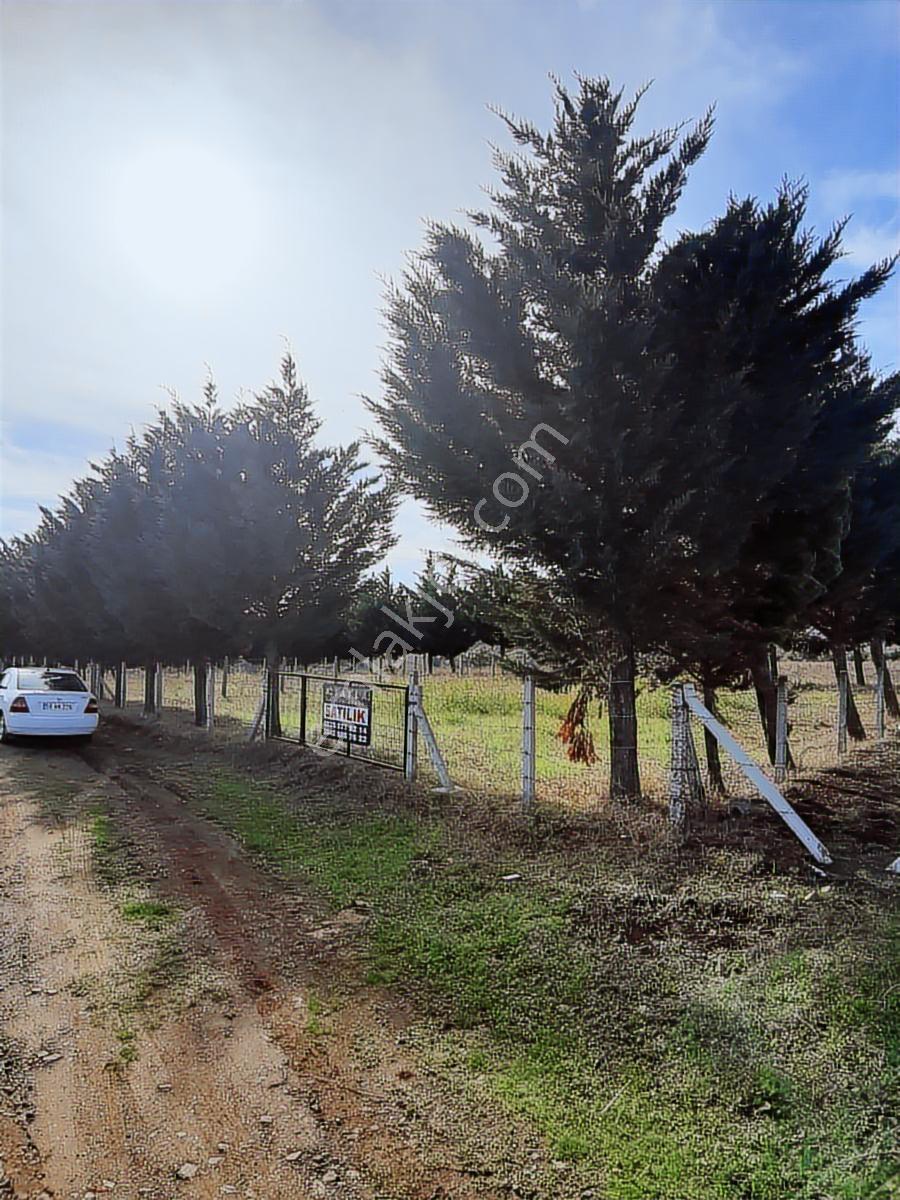 Yayla Gayrımenkul Buyukoyumcada Satılık 3 Parsel Denız Manzaralı