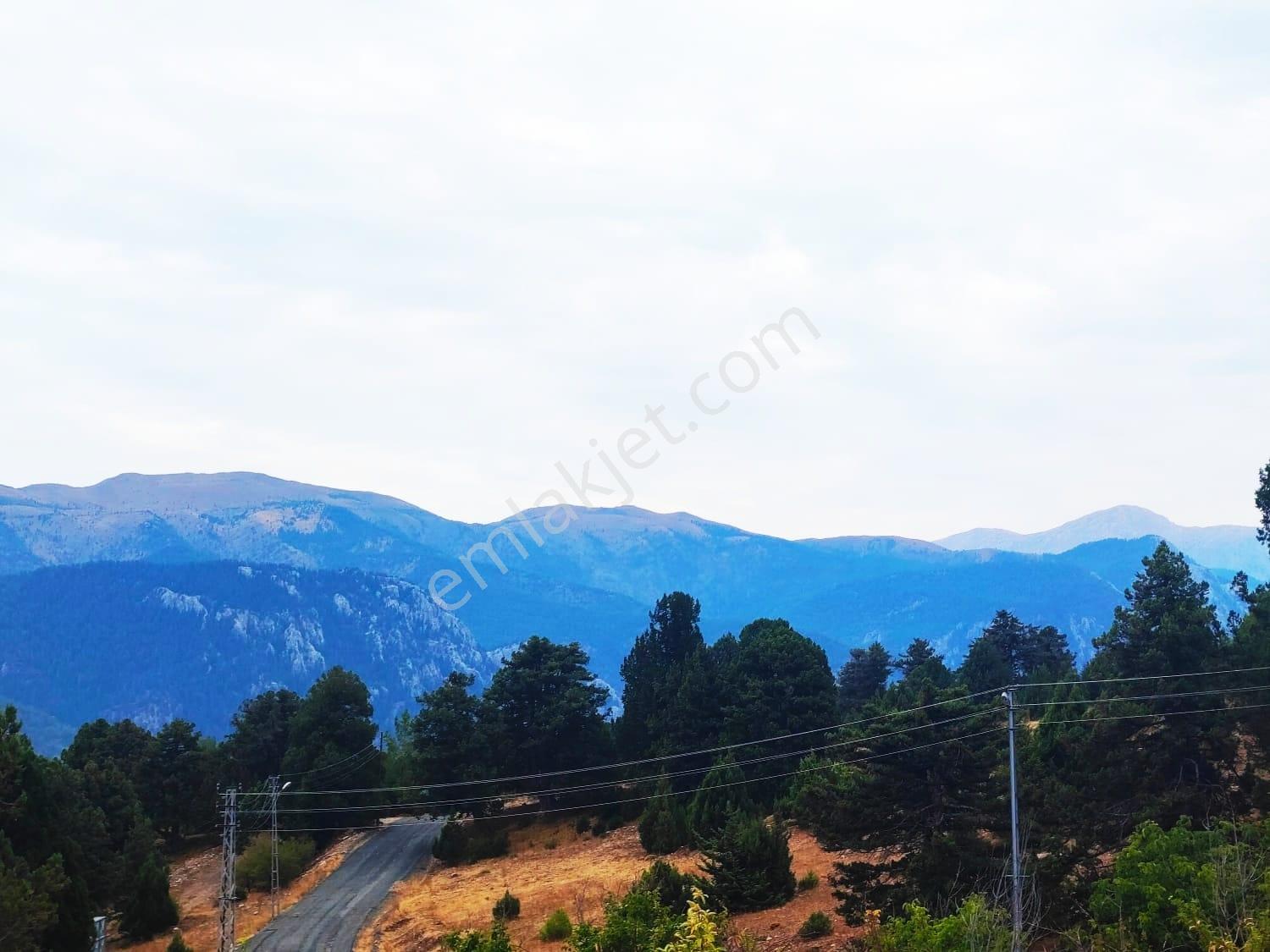 Kar Emlaktan Fındıklı Yaylasında 800m2 Satılık Arsa - Görsel 6