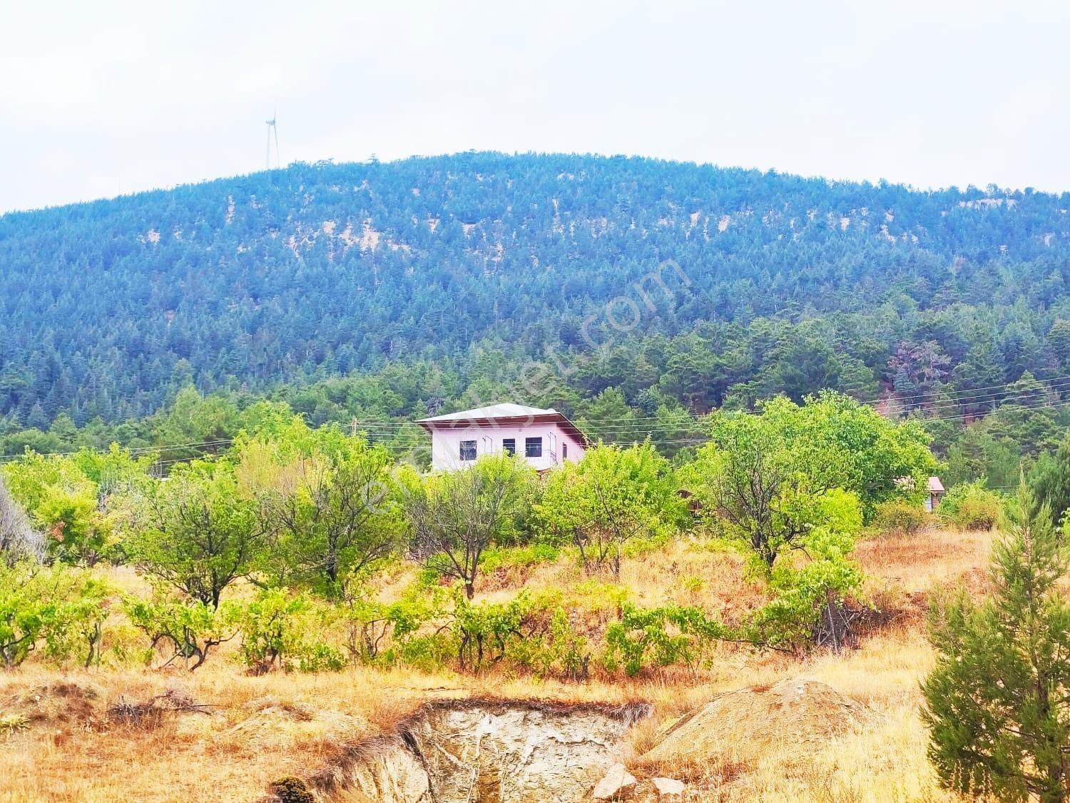 Kar Emlaktan Fındıklı Yaylasında 800m2 Satılık Arsa - Görsel 31