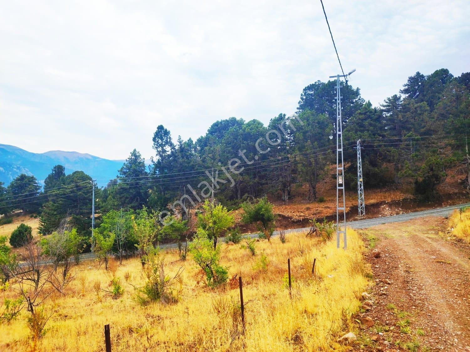Kar Emlaktan Fındıklı Yaylasında 800m2 Satılık Arsa - Görsel 30