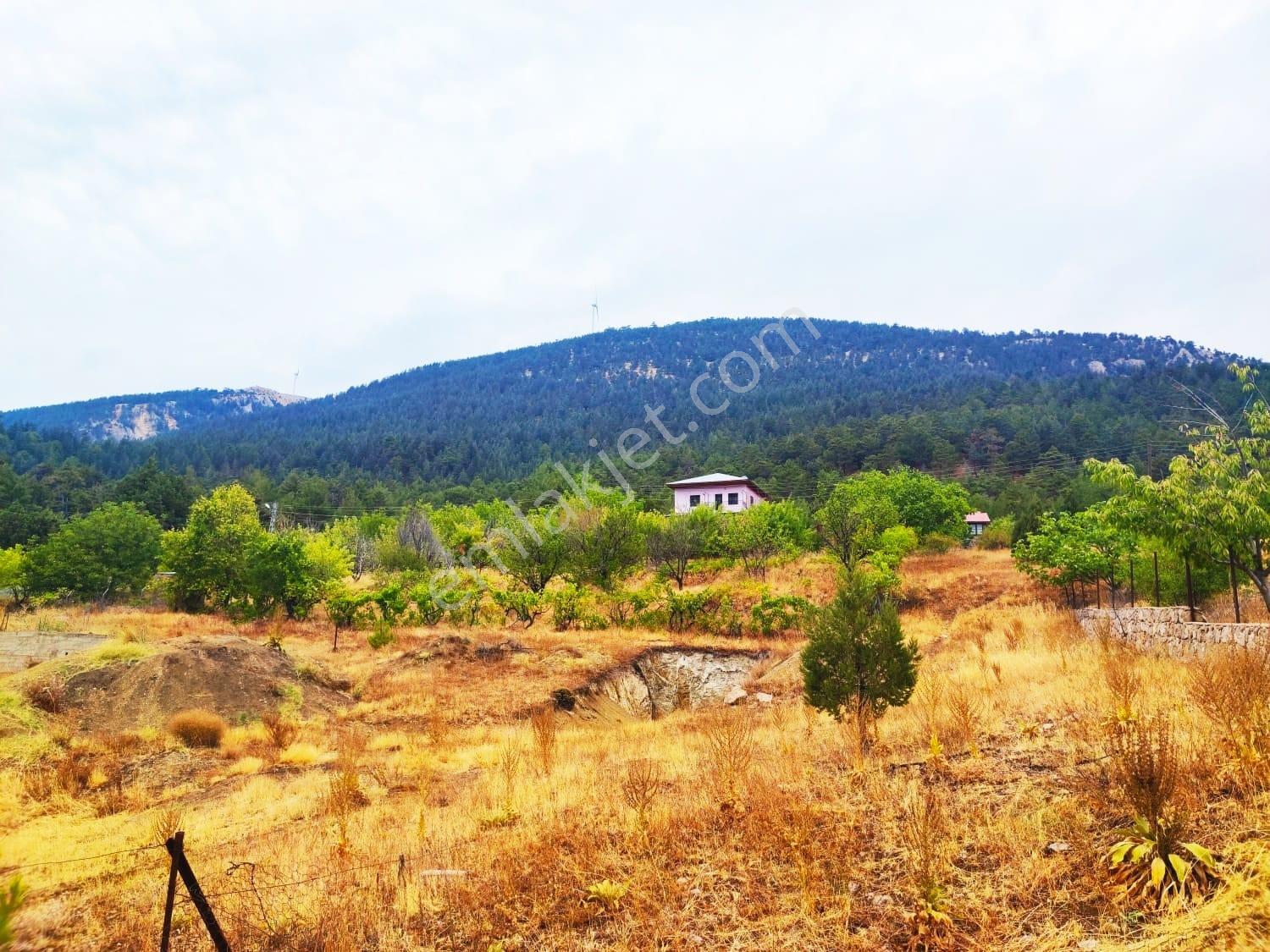 Kar Emlaktan Fındıklı Yaylasında 800m2 Satılık Arsa - Görsel 29