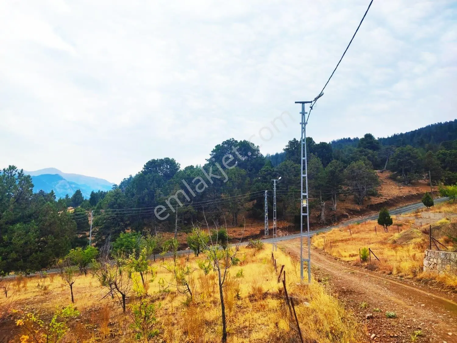 Kar Emlaktan Fındıklı Yaylasında 800m2 Satılık Arsa - Görsel 5