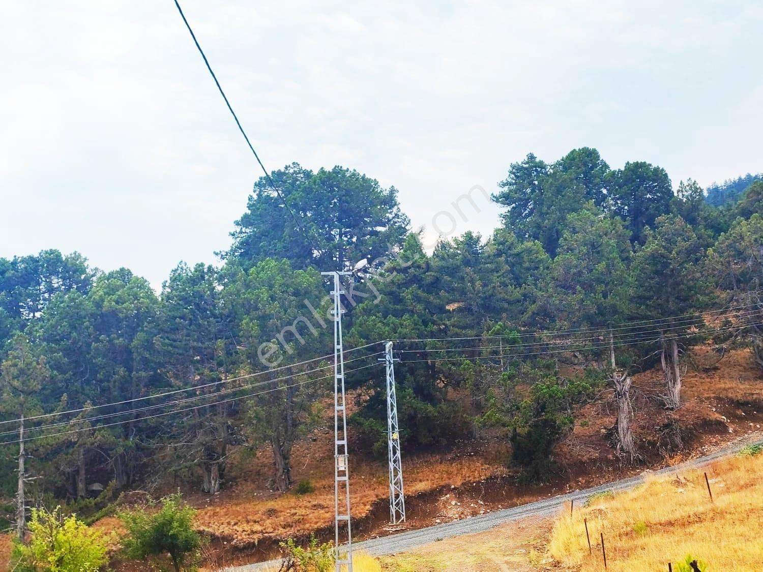 Kar Emlaktan Fındıklı Yaylasında 800m2 Satılık Arsa - Görsel 16