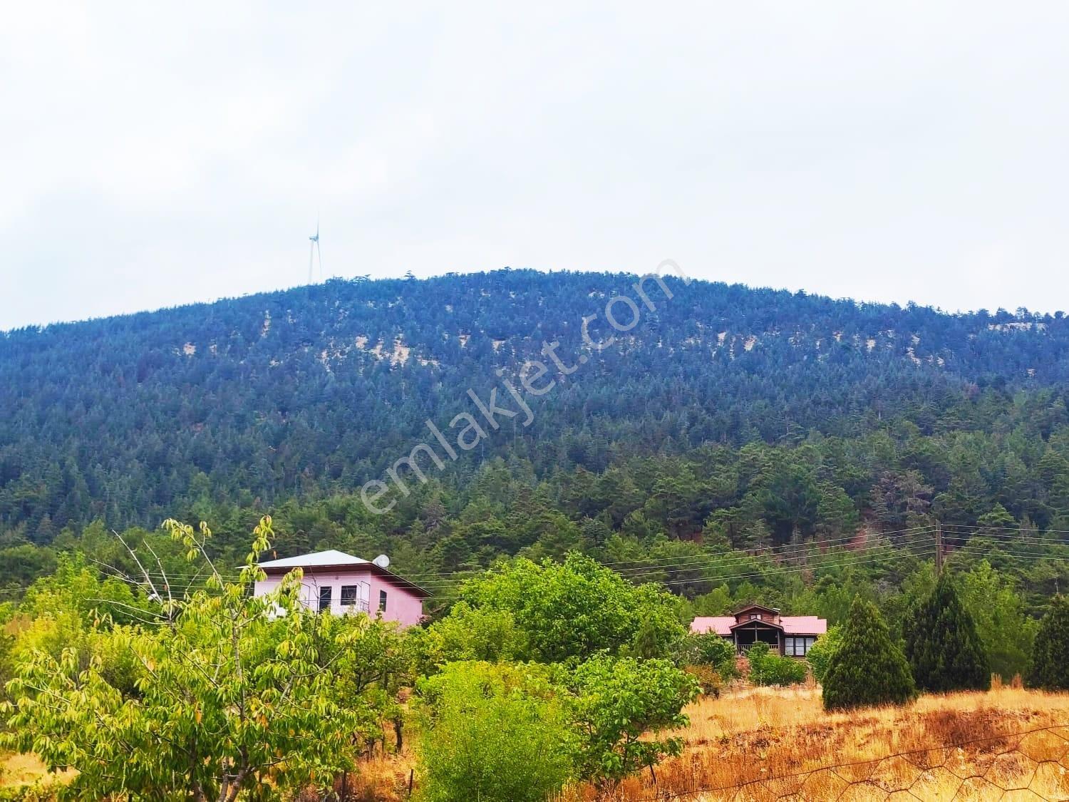 Kar Emlaktan Fındıklı Yaylasında 800m2 Satılık Arsa - Görsel 22