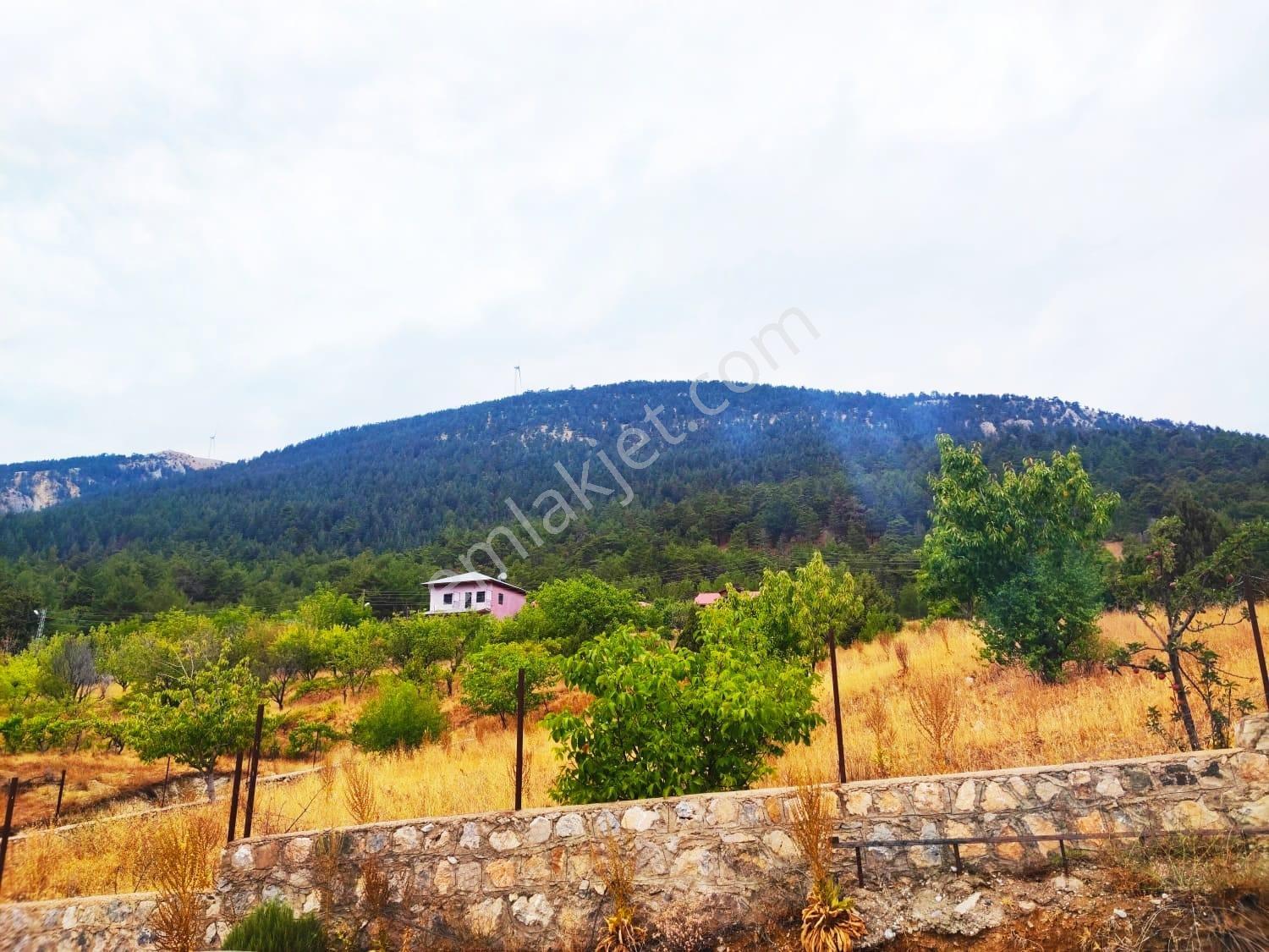 Kar Emlaktan Fındıklı Yaylasında 800m2 Satılık Arsa - Görsel 8