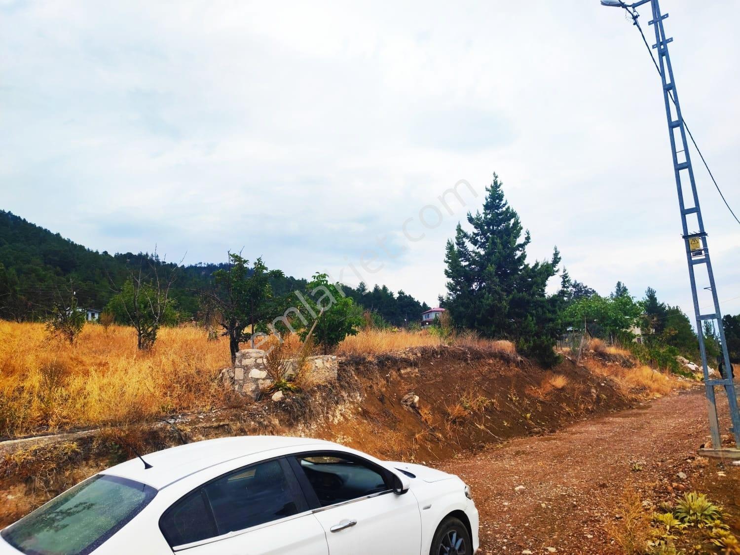 Kar Emlaktan Fındıklı Yaylasında 800m2 Satılık Arsa - Görsel 23