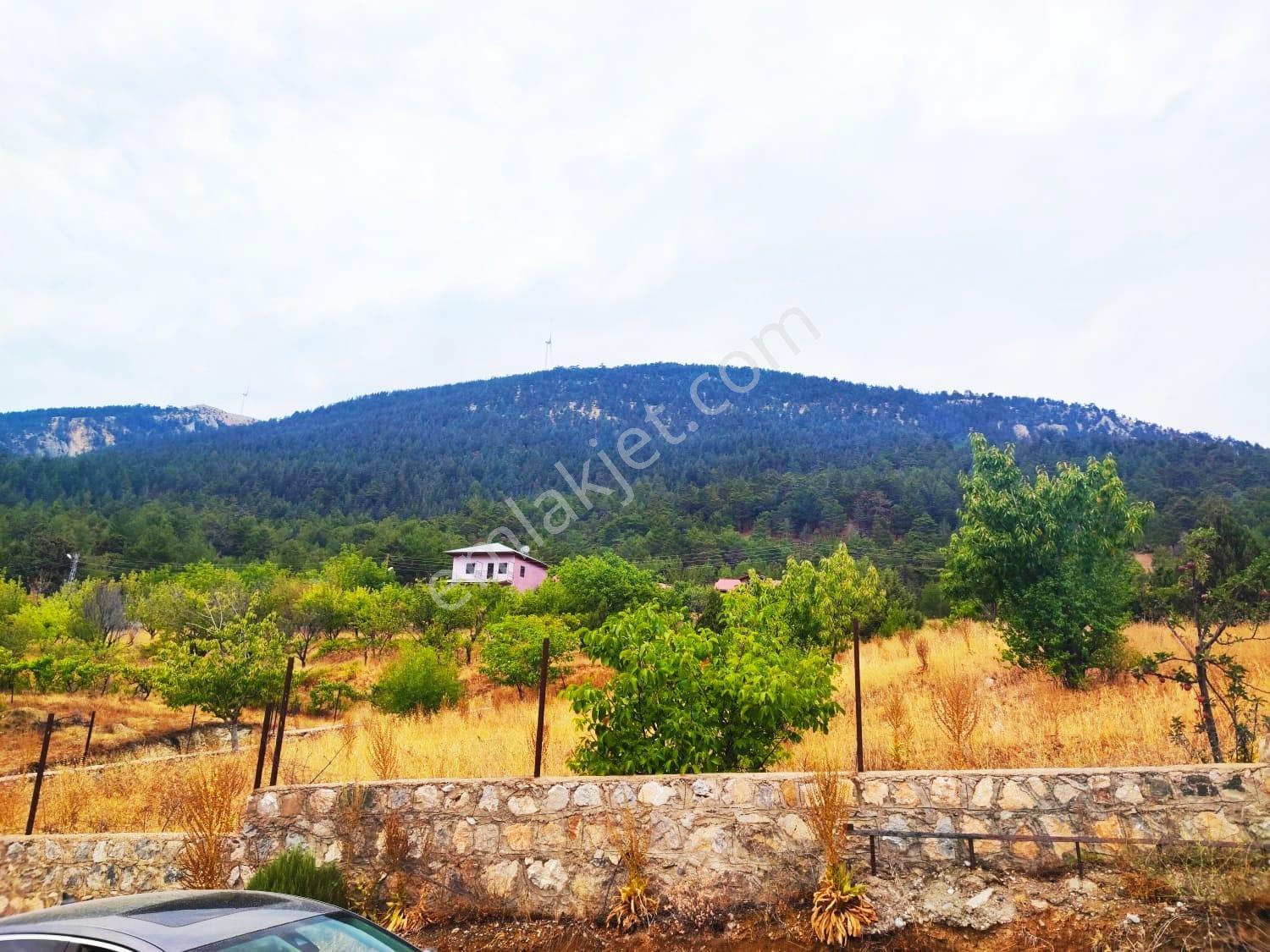 Kar Emlaktan Fındıklı Yaylasında 800m2 Satılık Arsa - Görsel 13