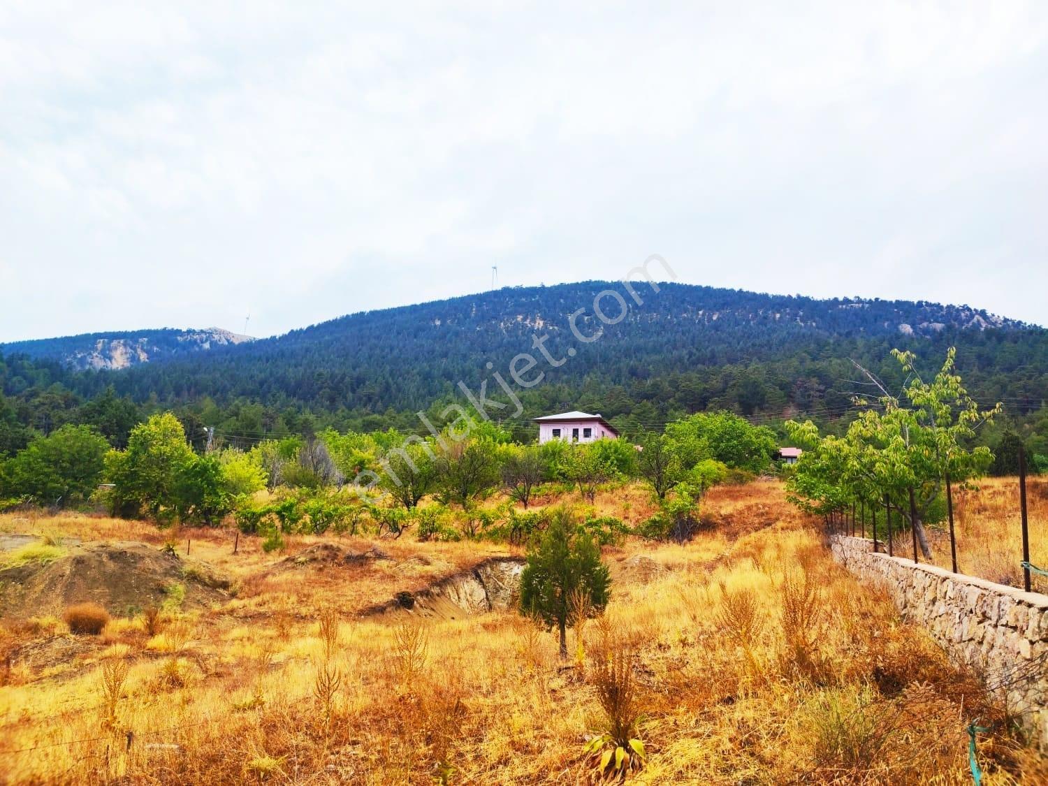 Kar Emlaktan Fındıklı Yaylasında 800m2 Satılık Arsa - Görsel 19