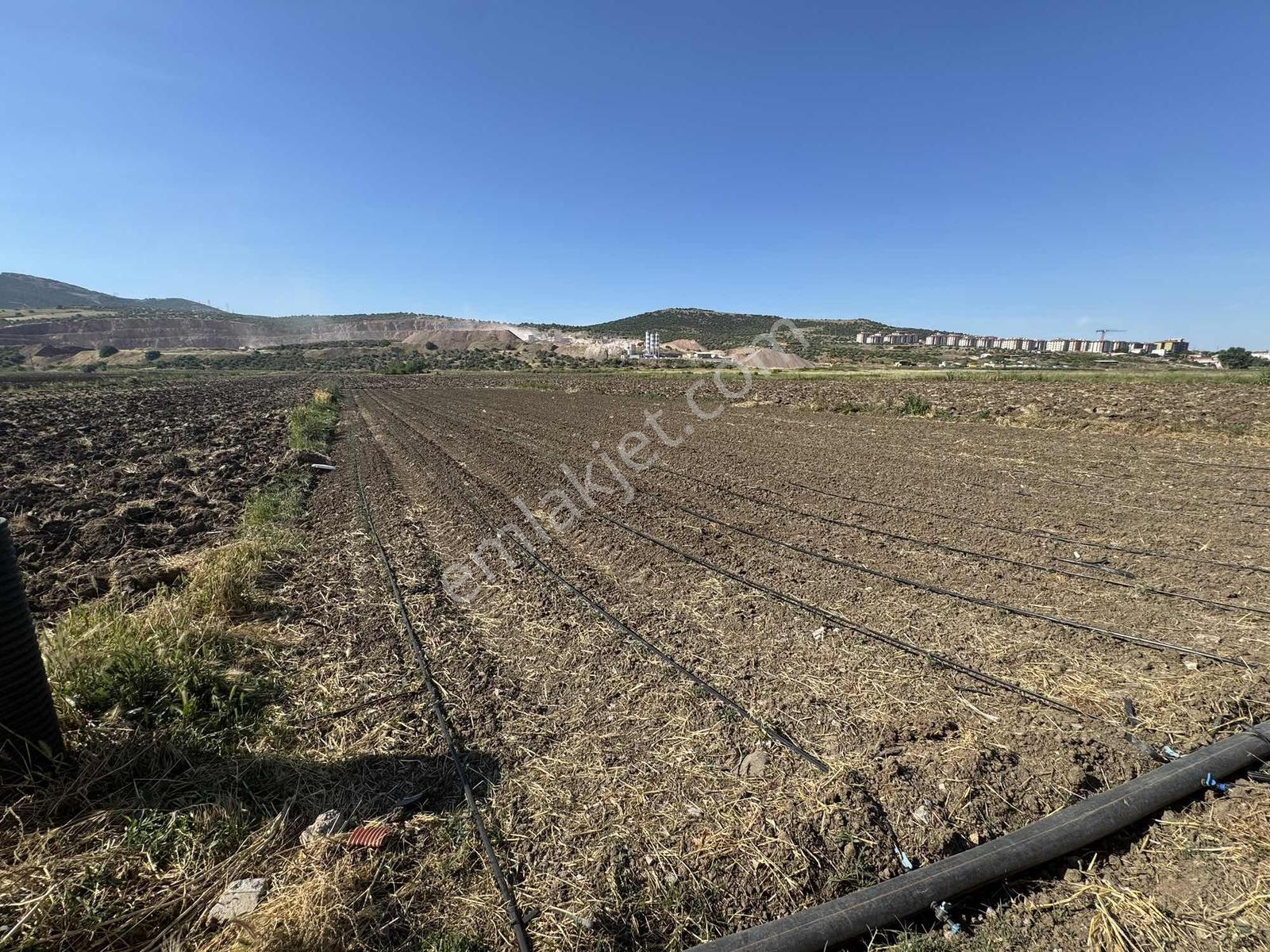 Biens'den Karacabey Taşlık'da Toki Ve İmara Yakın Kupon Arazi - Görsel 8