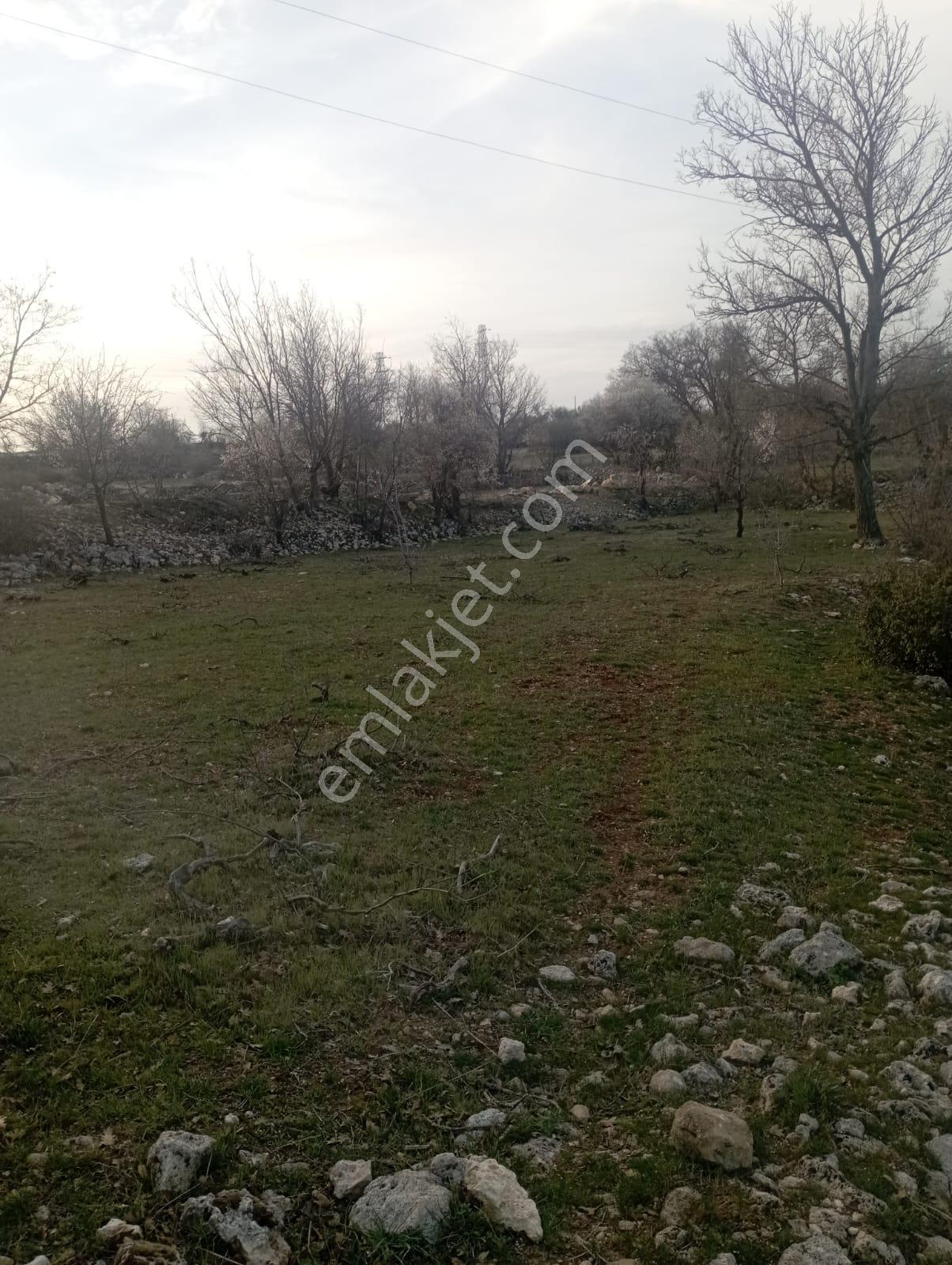 King' Den Gülnar Da Satılık 4 Dönüm Tarla / Elektrik Su Sorunu Yok!! - Görsel 15
