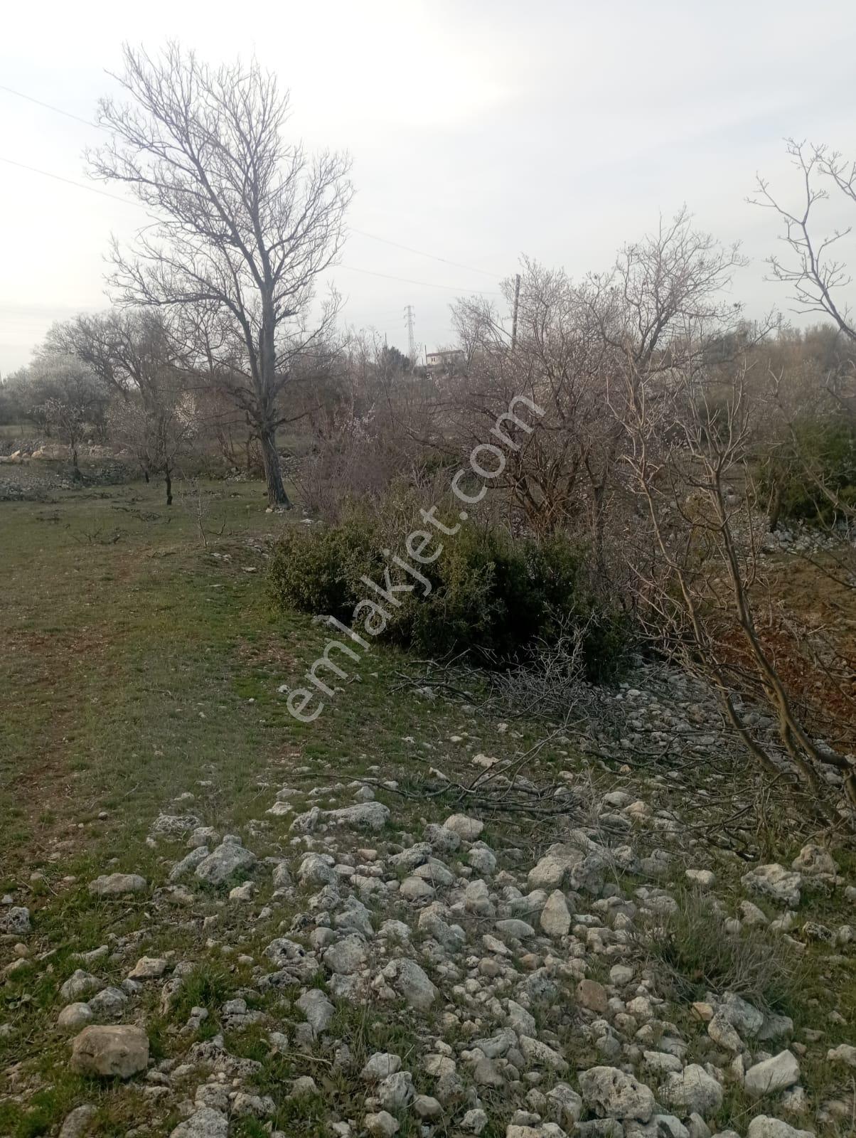 King' Den Gülnar Da Satılık 4 Dönüm Tarla / Elektrik Su Sorunu Yok!! - Görsel 9
