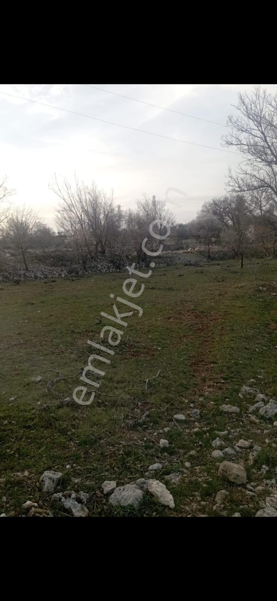 King' Den Gülnar Da Satılık 4 Dönüm Tarla / Elektrik Su Sorunu Yok!! - Görsel 7