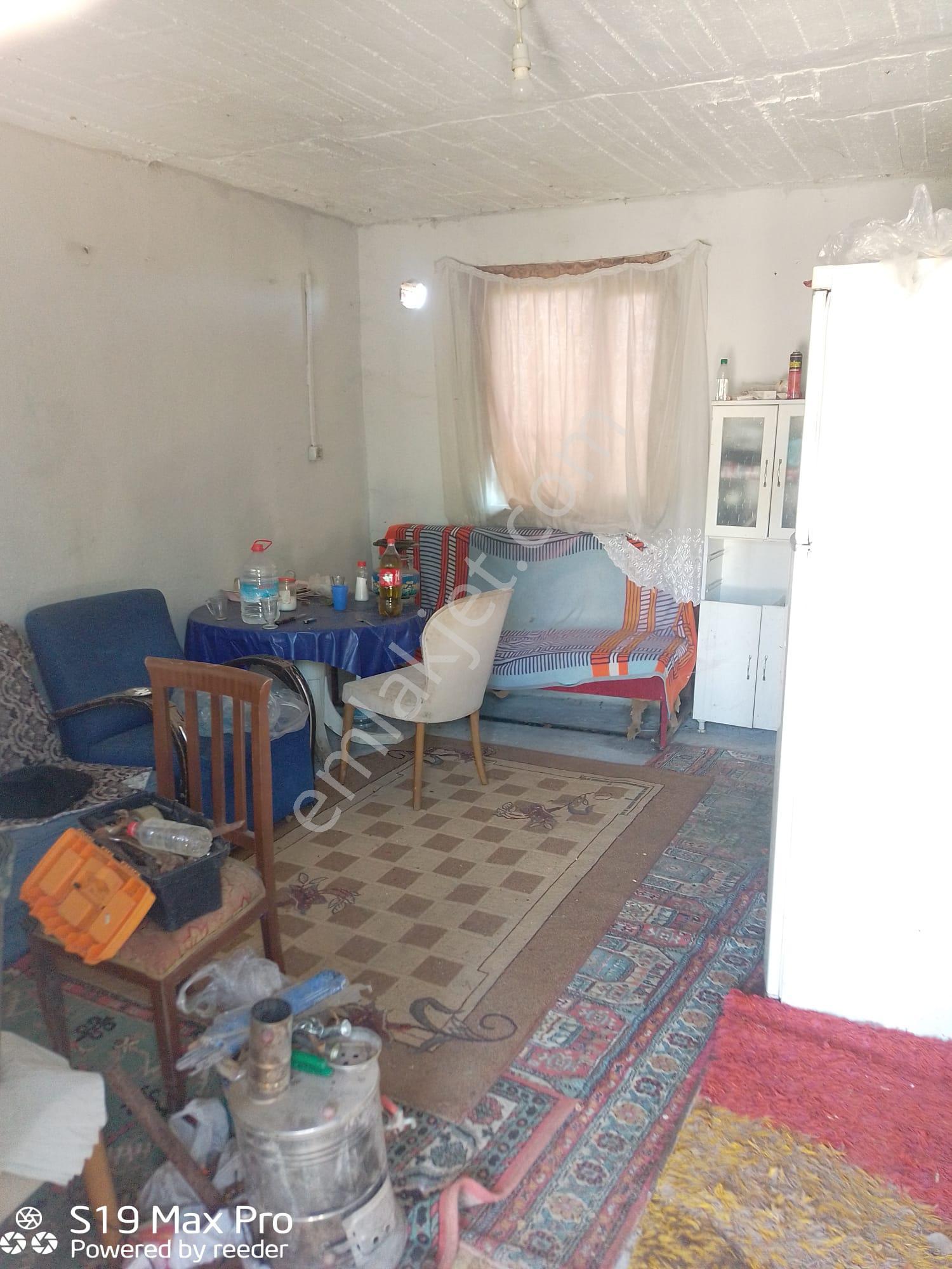 Konum Emlaktan Kiralık Çiftlik Evi-üzüm Bağı-bahçe Ve Hayvan Bakım Çiftliği - Görsel 15