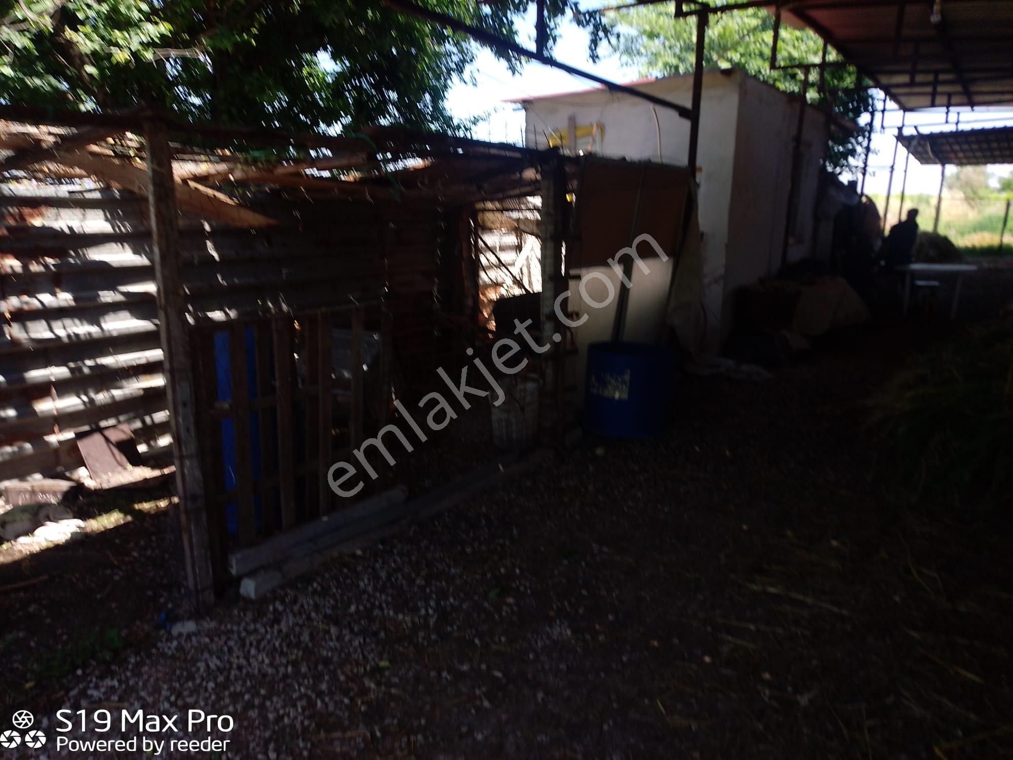 Konum Emlaktan Kiralık Çiftlik Evi-üzüm Bağı-bahçe Ve Hayvan Bakım Çiftliği - Görsel 26