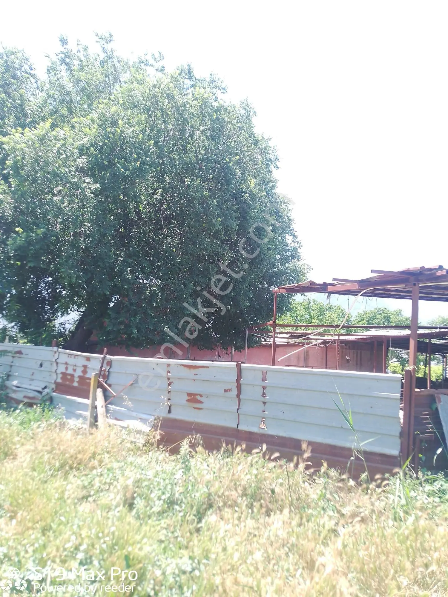 Konum Emlaktan Kiralık Çiftlik Evi-üzüm Bağı-bahçe Ve Hayvan Bakım Çiftliği - Görsel 4