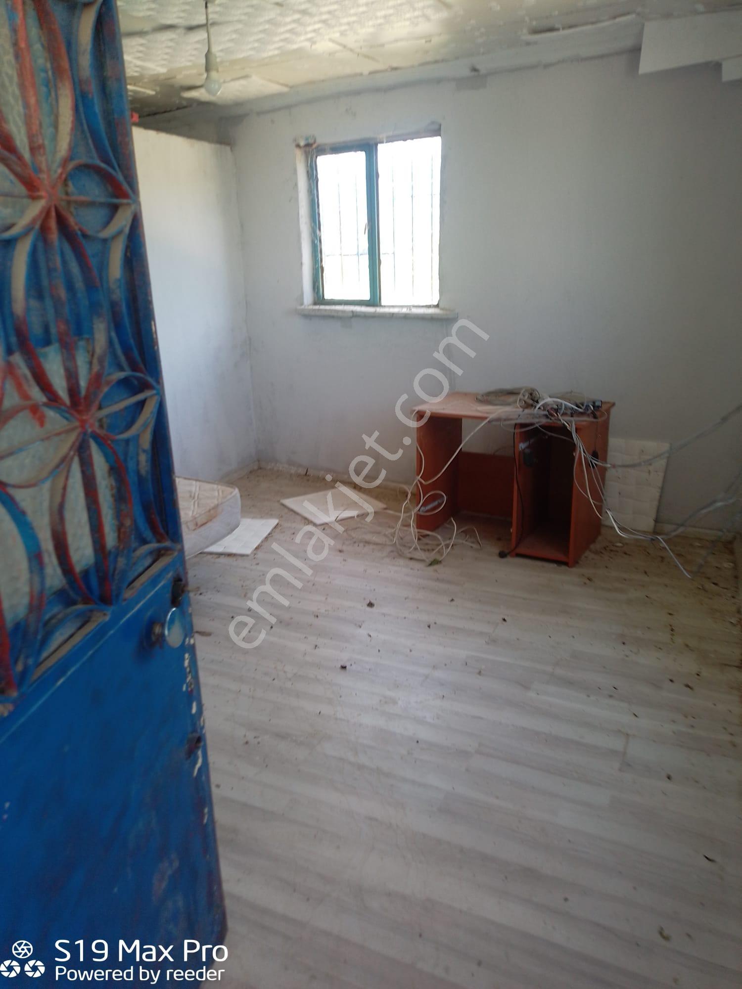 Konum Emlaktan Kiralık Çiftlik Evi-üzüm Bağı-bahçe Ve Hayvan Bakım Çiftliği - Görsel 11
