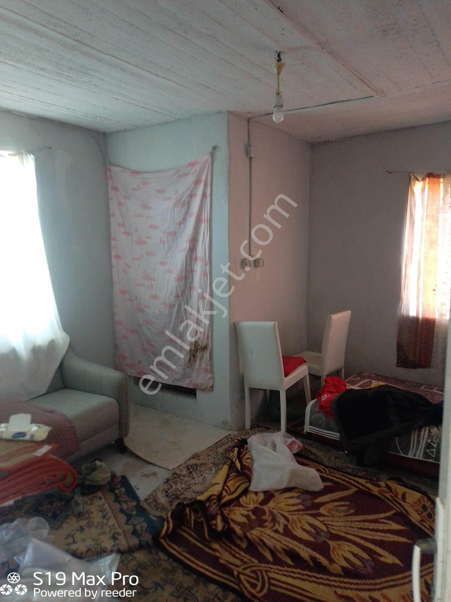Konum Emlaktan Kiralık Çiftlik Evi-üzüm Bağı-bahçe Ve Hayvan Bakım Çiftliği - Görsel 13