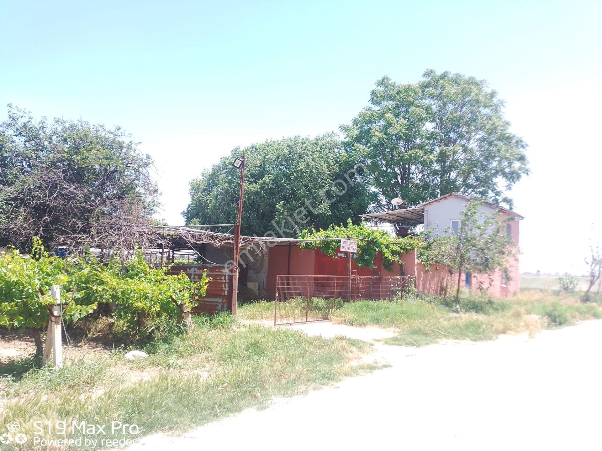Konum Emlaktan Kiralık Çiftlik Evi-üzüm Bağı-bahçe Ve Hayvan Bakım Çiftliği - Görsel 29