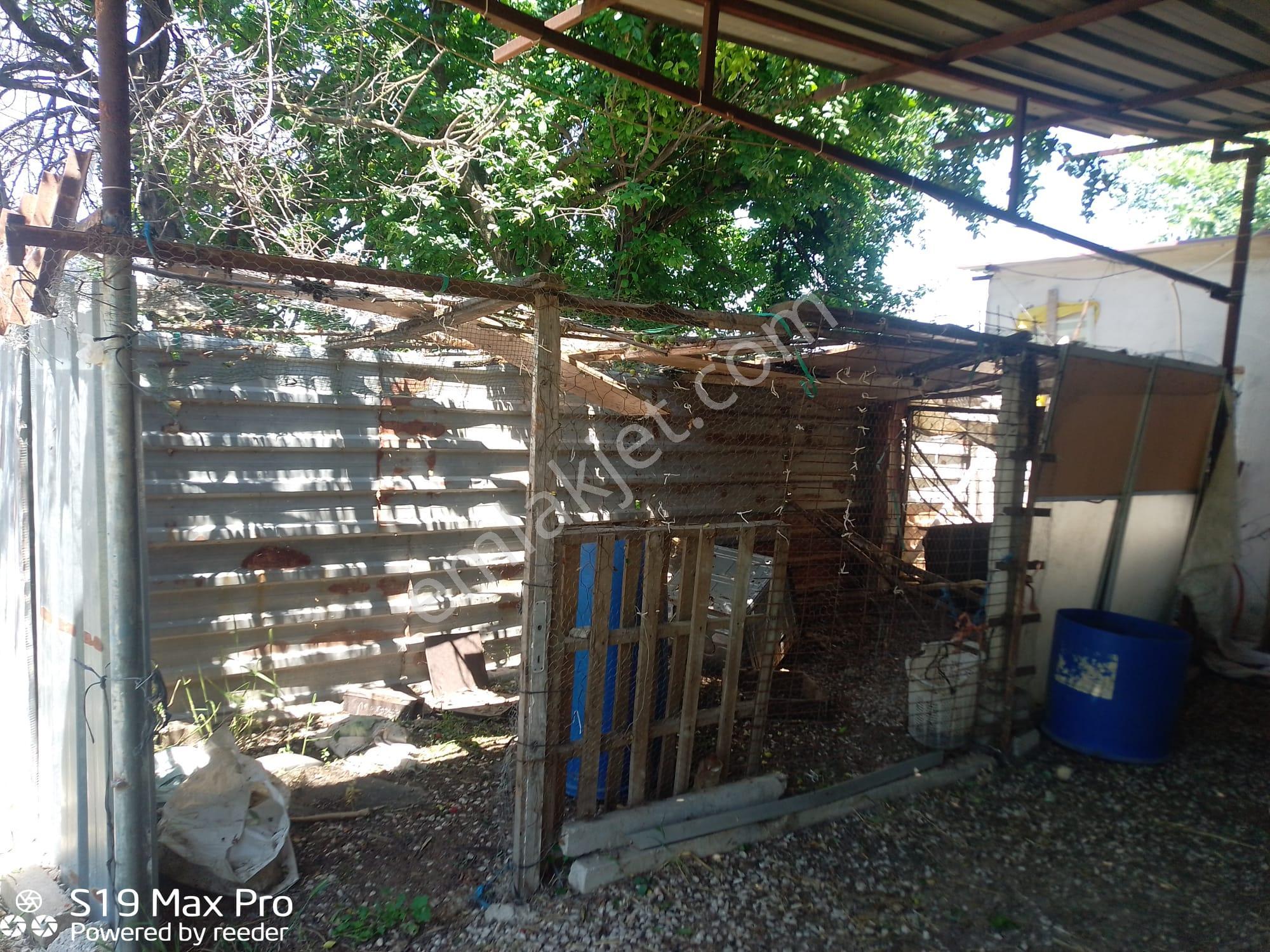 Konum Emlaktan Kiralık Çiftlik Evi-üzüm Bağı-bahçe Ve Hayvan Bakım Çiftliği - Görsel 25