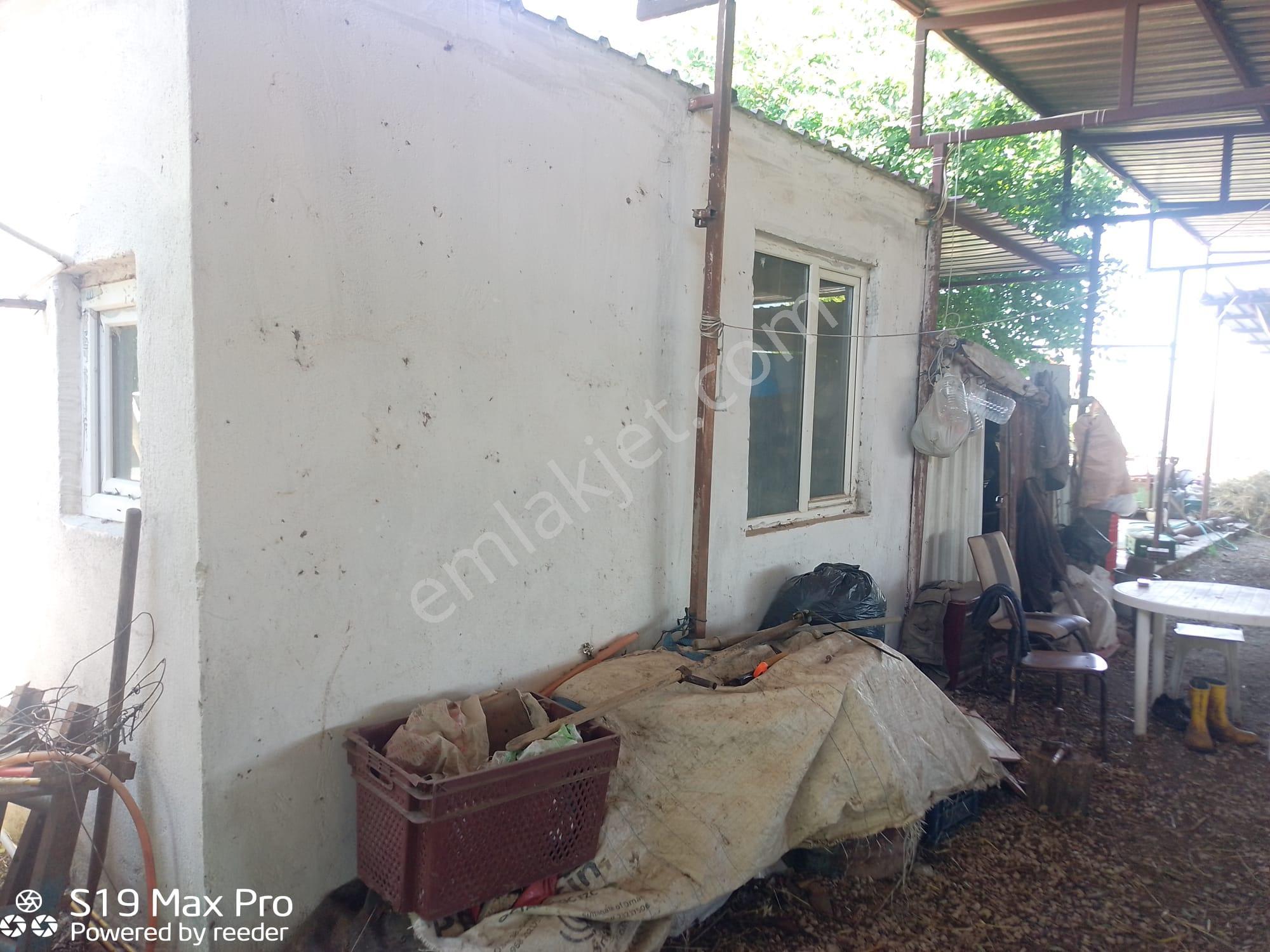 Konum Emlaktan Kiralık Çiftlik Evi-üzüm Bağı-bahçe Ve Hayvan Bakım Çiftliği - Görsel 24