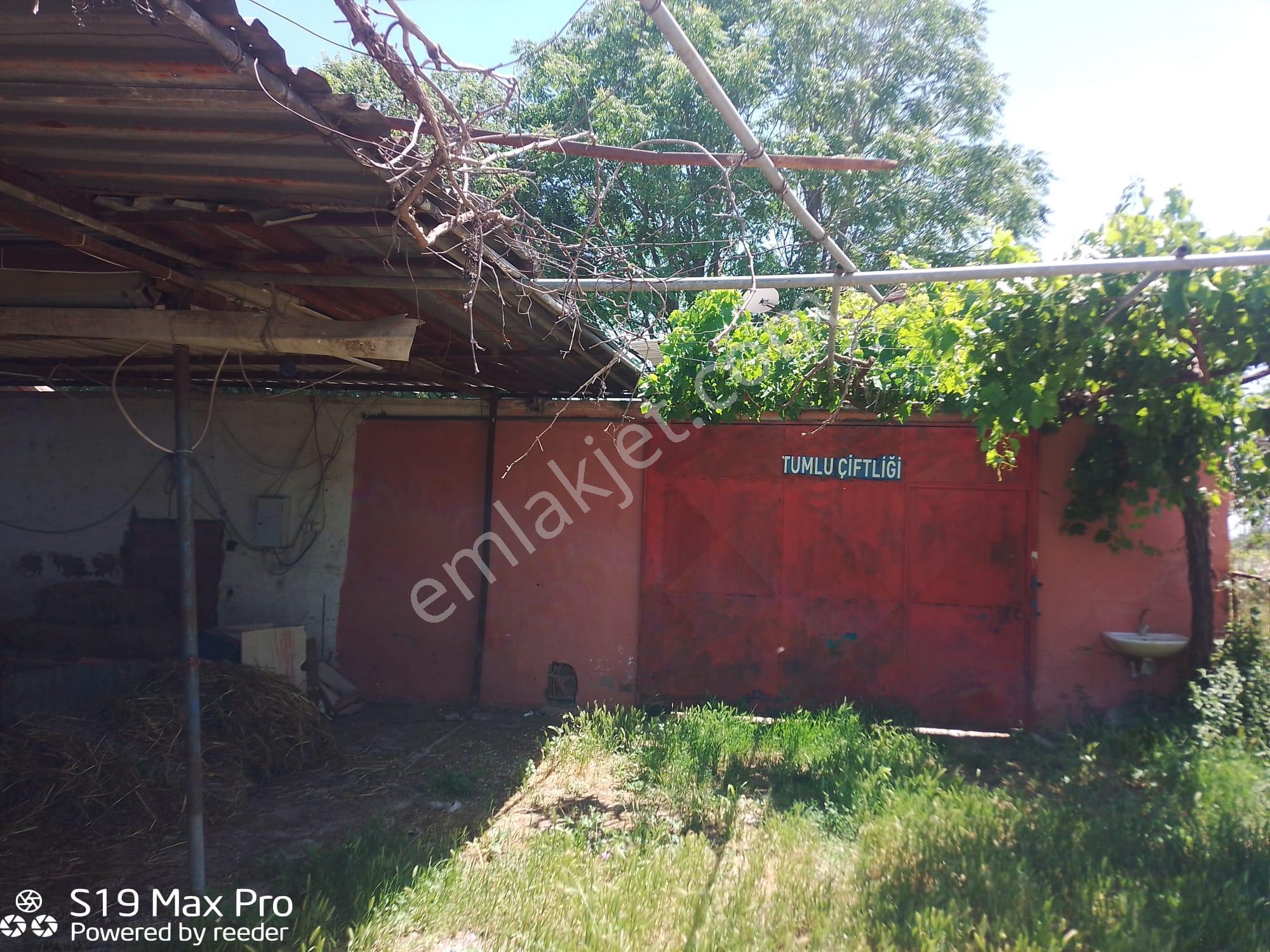 Konum Emlaktan Kiralık Çiftlik Evi-üzüm Bağı-bahçe Ve Hayvan Bakım Çiftliği - Görsel 27