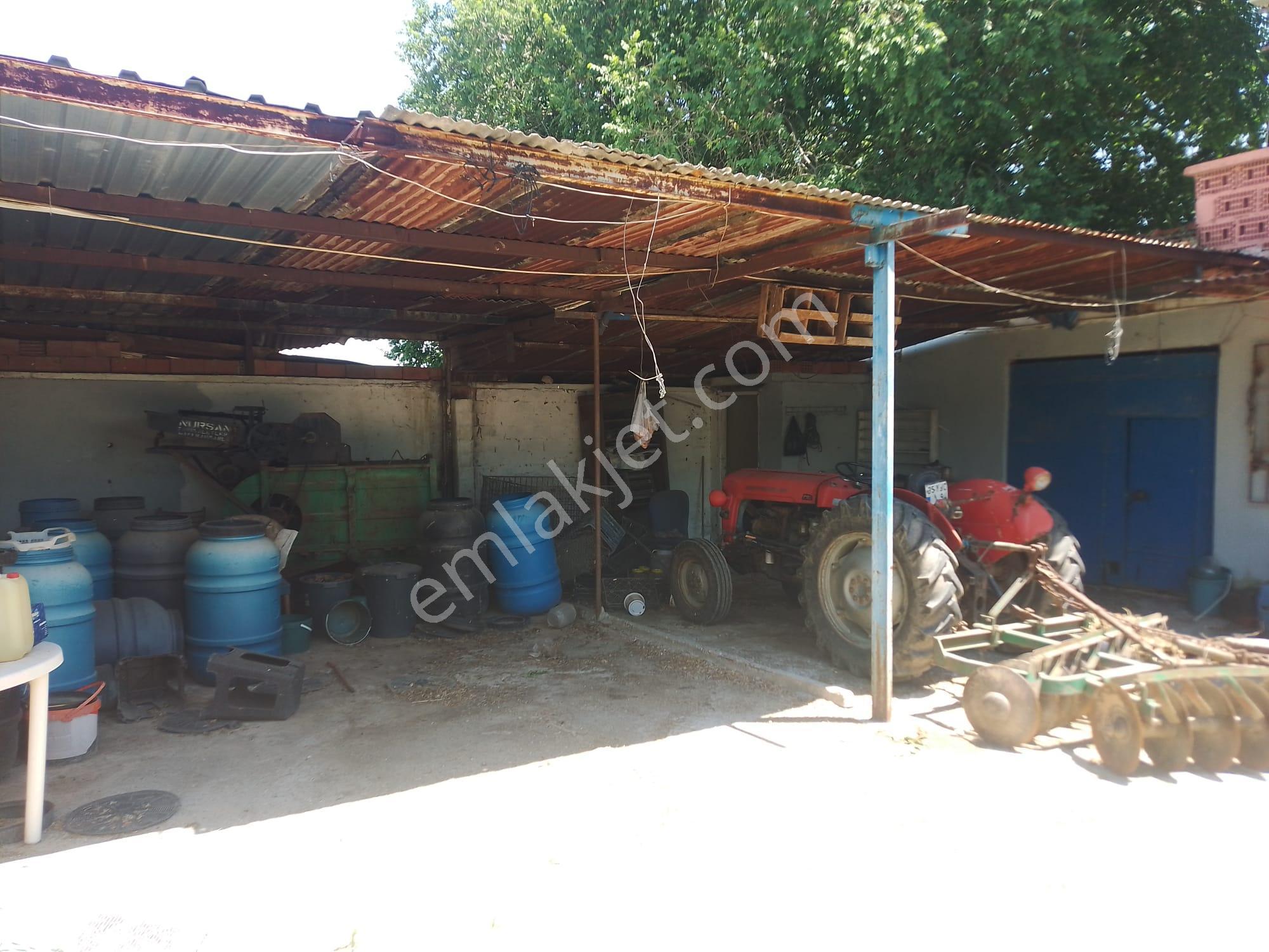 Konum Emlaktan Kiralık Çiftlik Evi-üzüm Bağı-bahçe Ve Hayvan Bakım Çiftliği - Görsel 17