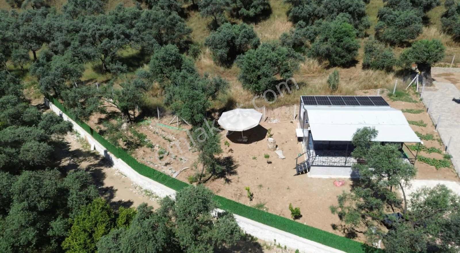 İsabeylide 524 M2 Kurulu Düzen Bahçe - Görsel 22