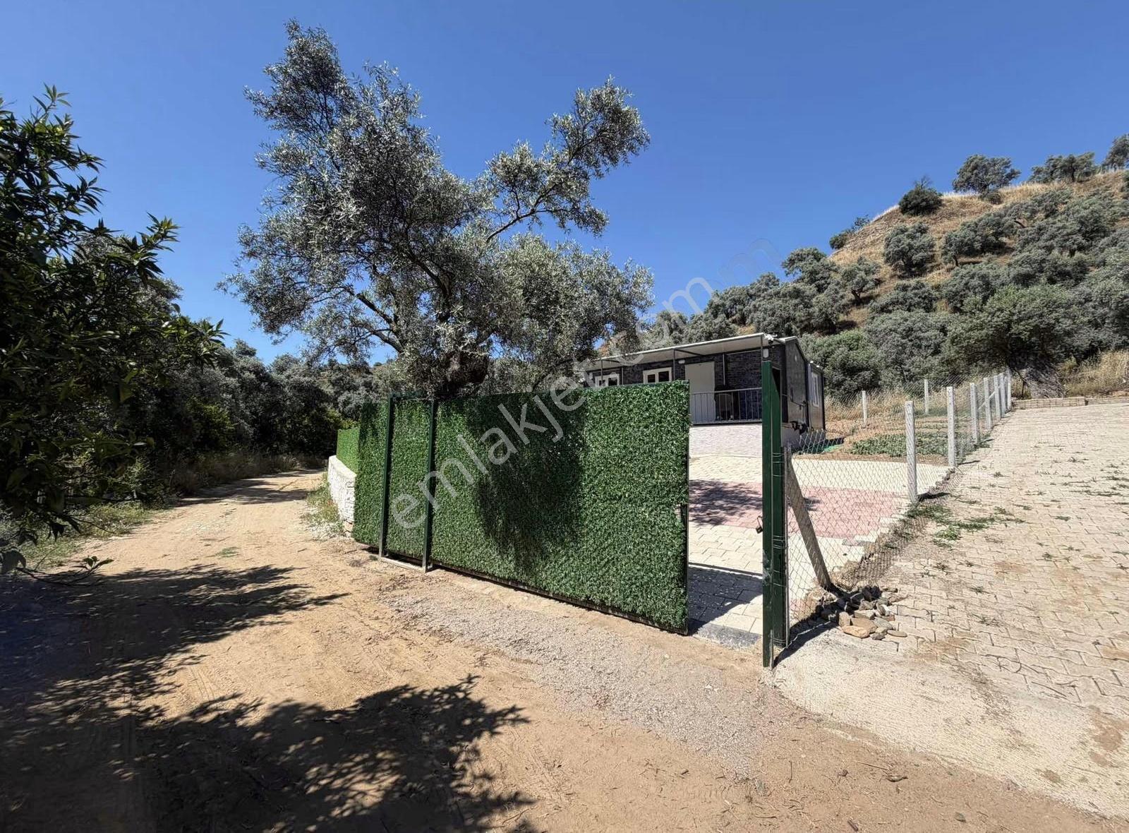 İsabeylide 524 M2 Kurulu Düzen Bahçe - Görsel 4