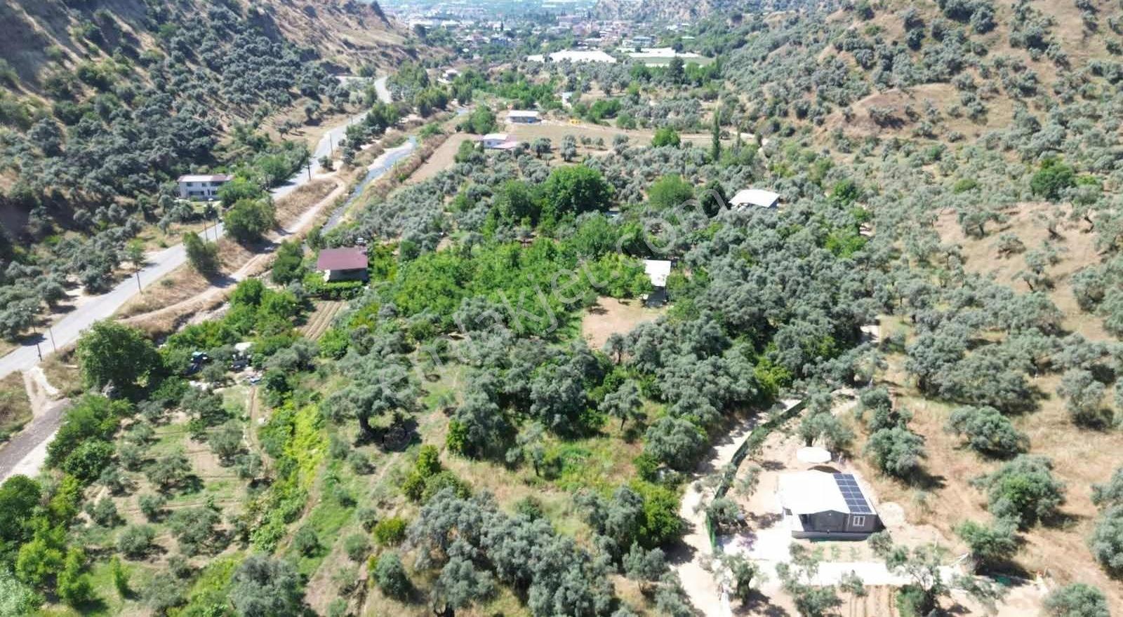 İsabeylide 524 M2 Kurulu Düzen Bahçe - Görsel 13