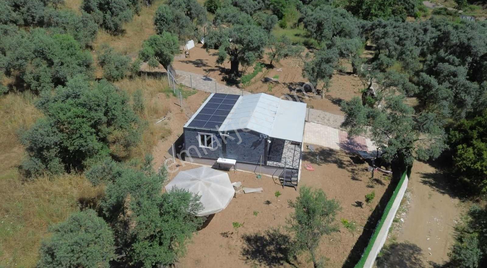 İsabeylide 524 M2 Kurulu Düzen Bahçe - Görsel 30