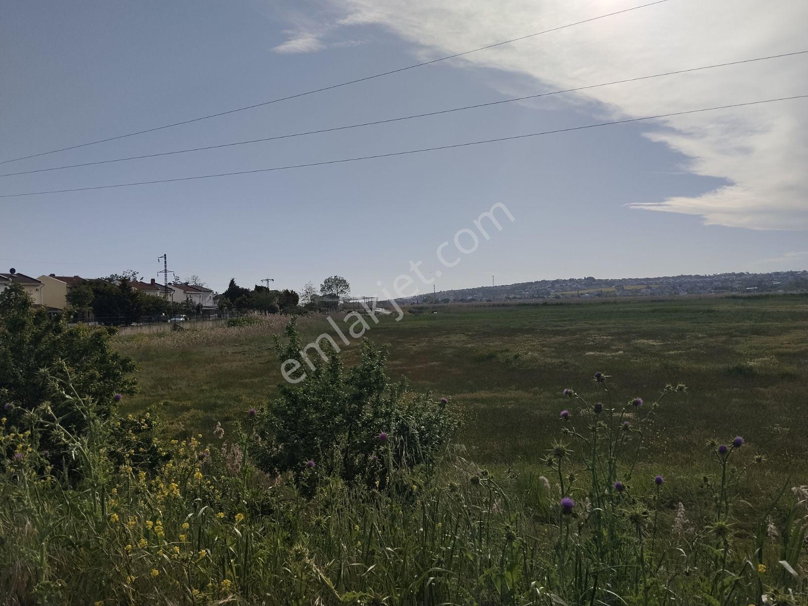Tekirdağ Marmara Ereğlisi Çeşmeli'de Acil Satılık Tek Tapu Arsa - Görsel 3