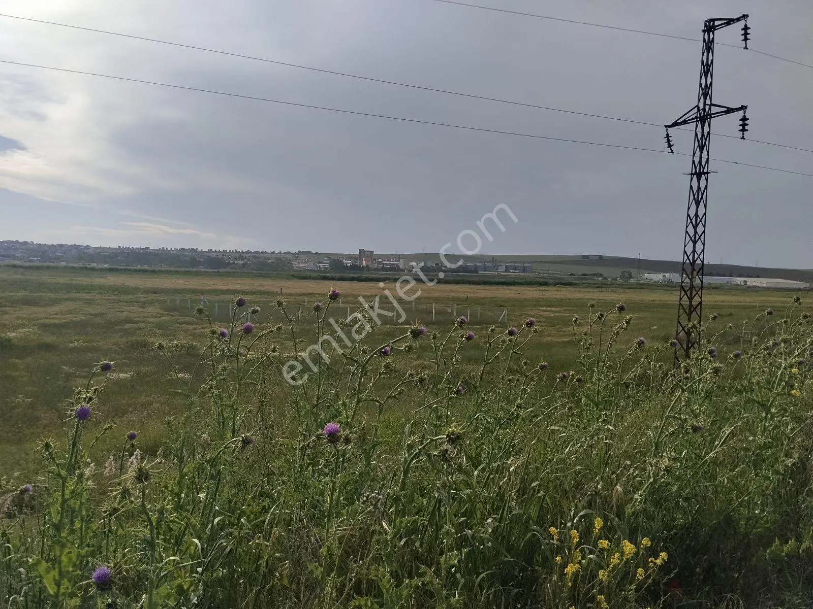 Tekirdağ Marmara Ereğlisi Çeşmeli'de Acil Satılık Tek Tapu Arsa - Görsel 4
