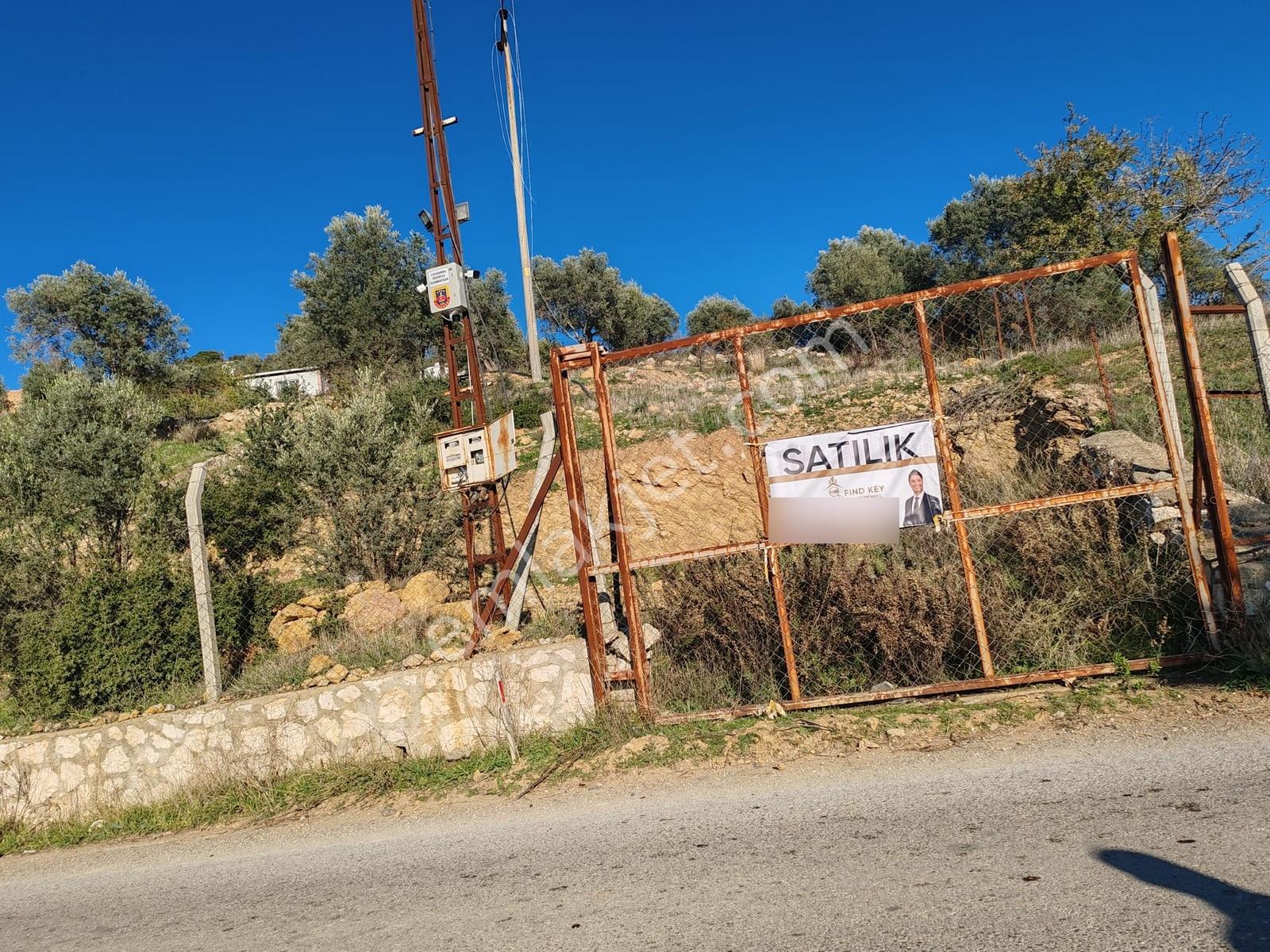 Buca Kırklarda Su Ve Elektriği Bulunan Satılık Zeytinlik - Görsel 11